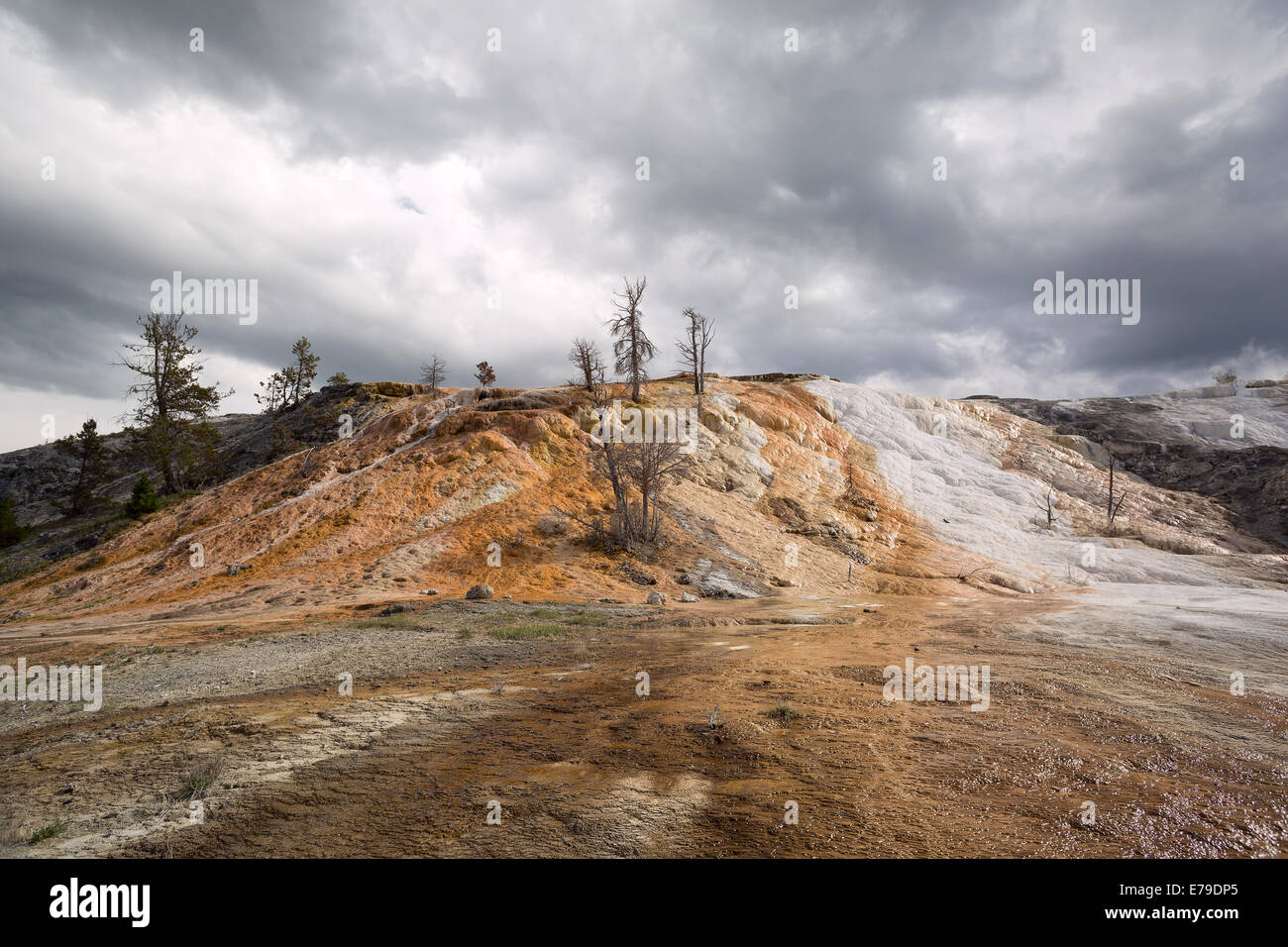 mineralische Ablagerungen bei Mammoth Hot Sprint im Yellowstone National Park Stockfoto