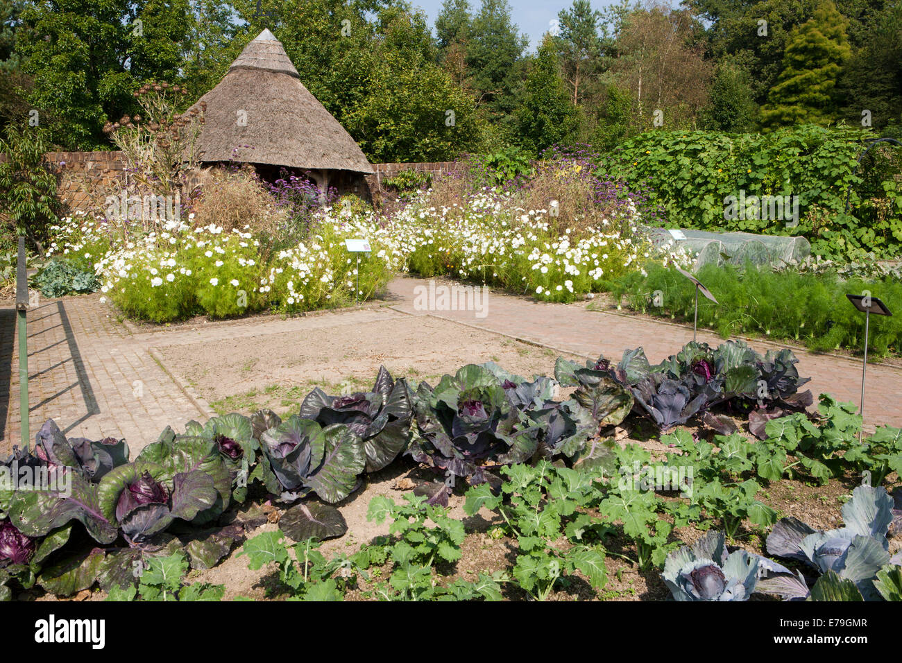 Reetgedeckte Sommerhaus im Gemüsegarten am RNS Rosemoor, North Devon. Stockfoto