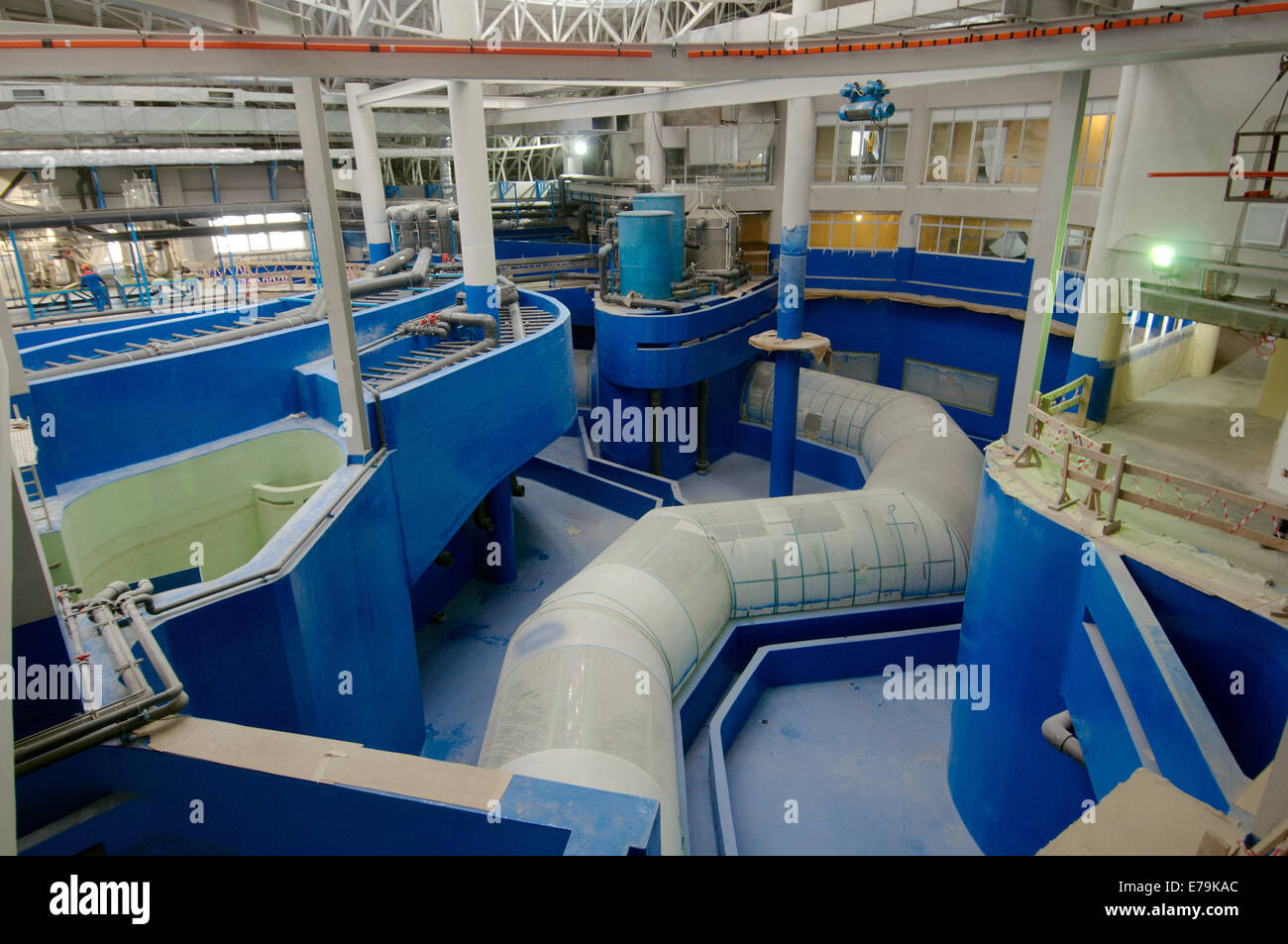 Der Pool im Aquarium, Vladivostok, Insel Russki, Fernost, Primorsky Krai, Rußland Stockfoto