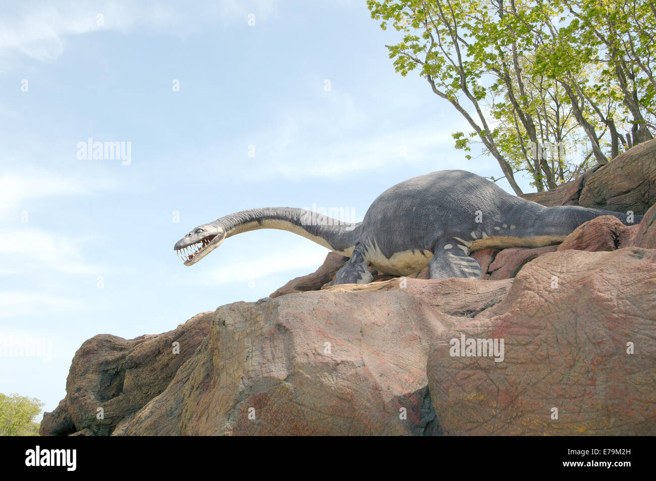 Elasmosaurus Platyurus Stockfotos und -bilder Kaufen - Alamy