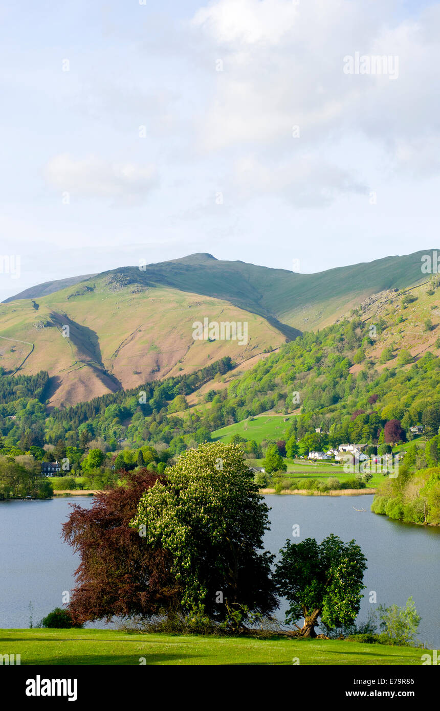 Grasmere See mit Heron Hecht über Lake District National Park, Cumbria, England, UK Stockfoto