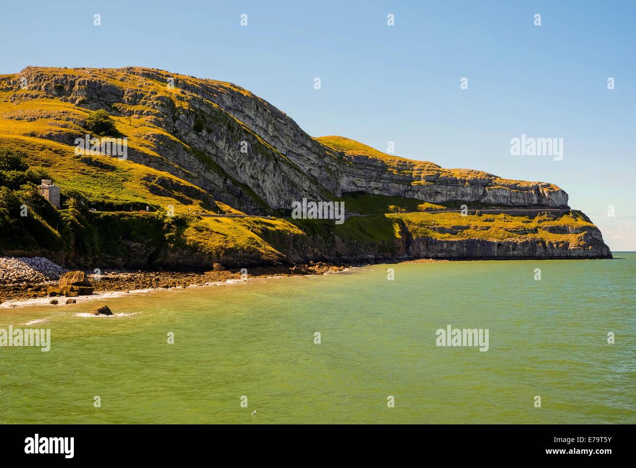 Llandudno Küste - Gesteinsschichten an der Küste von Llandudno, Wales Stockfoto