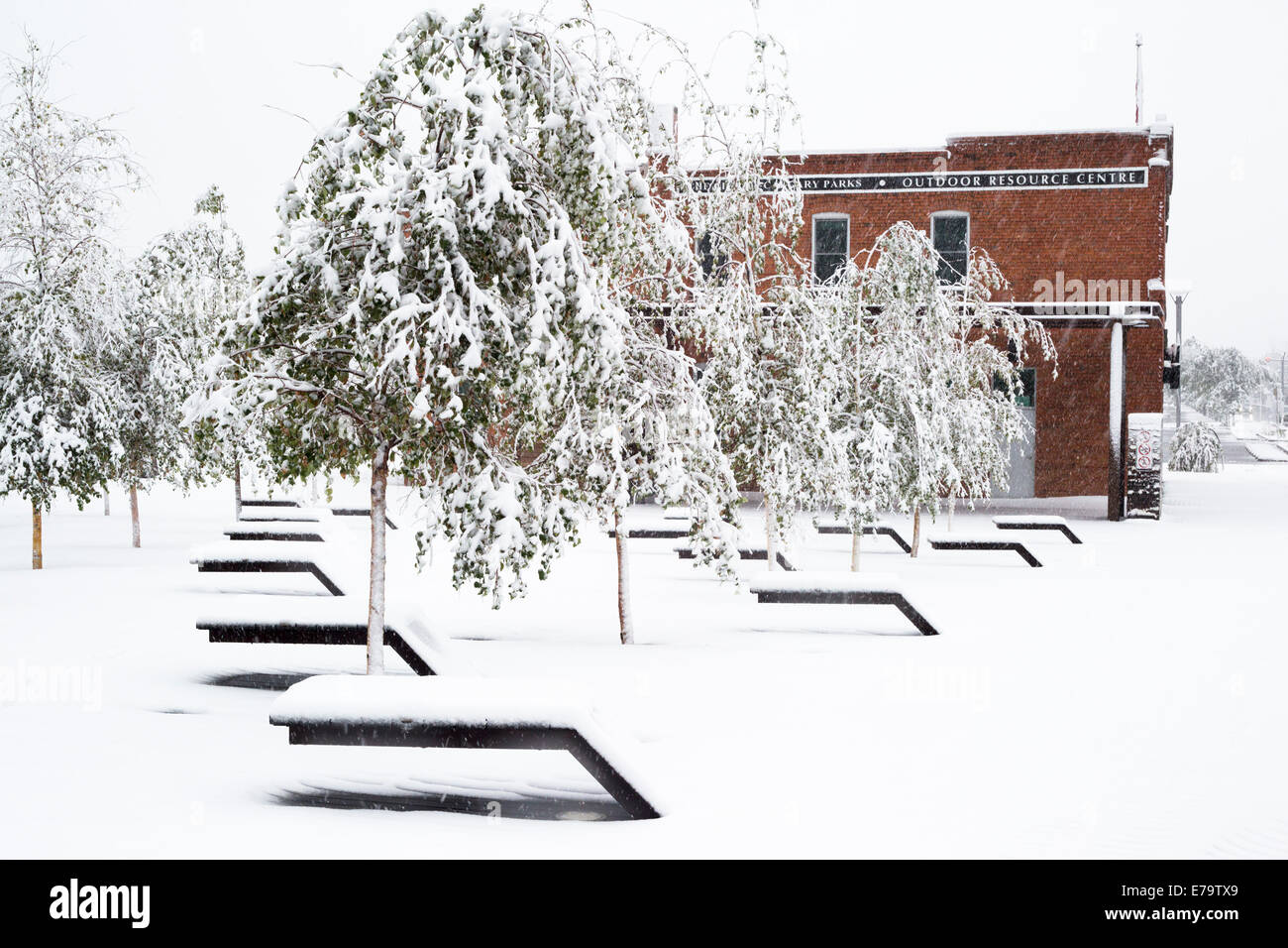 Calgary, Alberta, Kanada, 10 Sep, 2014. Fallender Schnee bedeckt Mohn Plaza. Calgarys Alarmzentrale NAZ eröffnet als Reaktion auf den Spätsommer Sturm die Stromausfälle, umgestürzte Bäume und Verkehrsunfälle zu geführt hat. Bürgermeister Nenshi angekündigt auf Twitter, dass die 3 Prioritäten sind öffentliche Sicherheit macht wiederherstellen und löschen Schutt. Bildnachweis: Rosanne Tackaberry/Alamy Live-Nachrichten Stockfoto