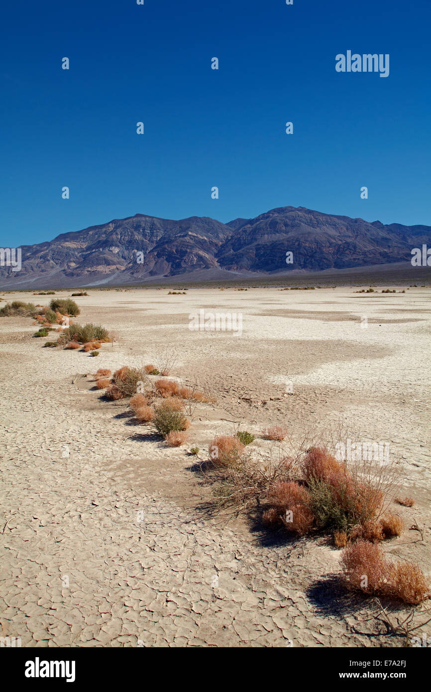 Salz, Pan, Panamint Valley und Panamint Range, Death Valley Nationalpark, Mojave-Wüste, Kalifornien, USA Stockfoto