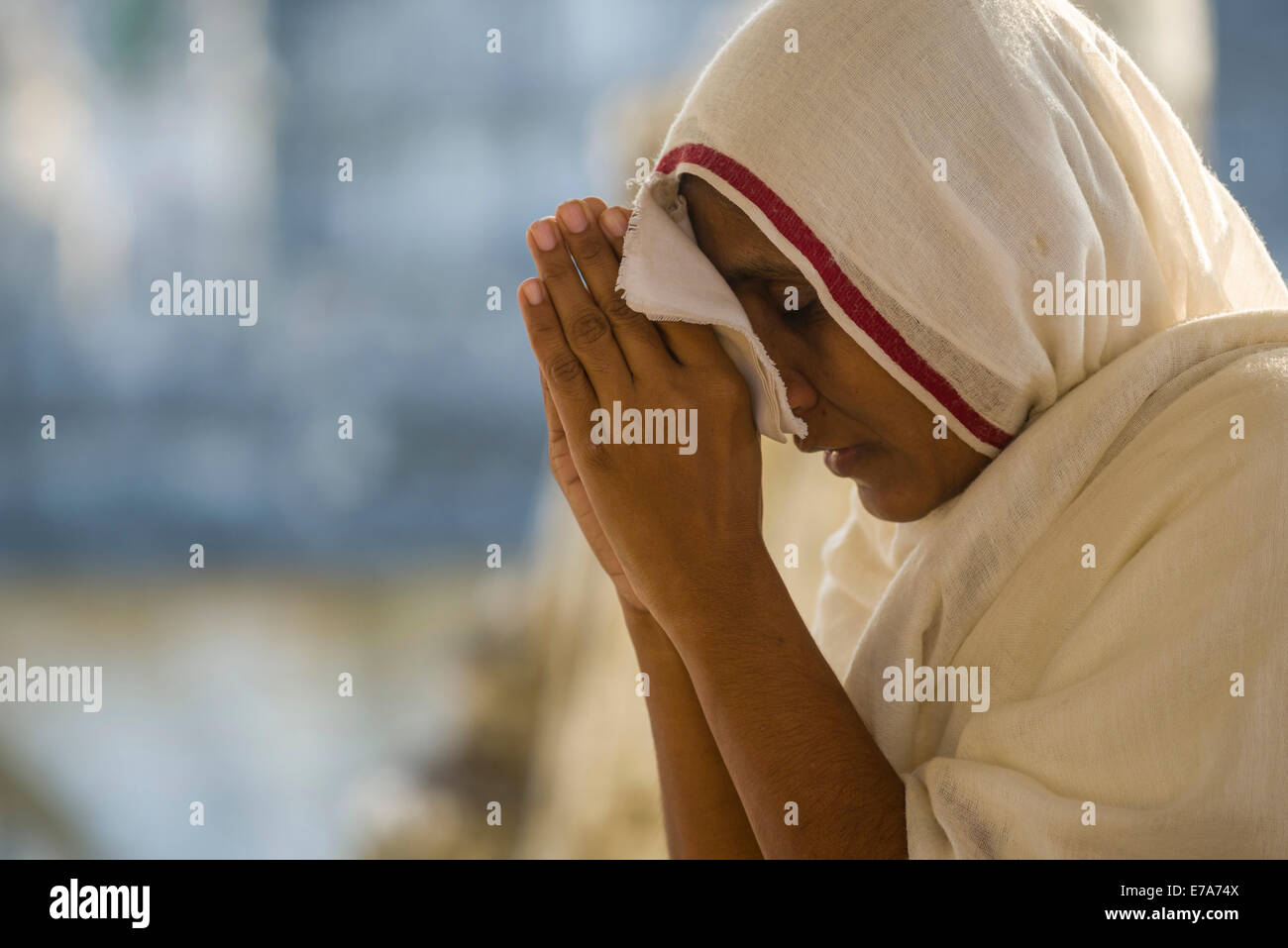 Jain Nonne beten an einem Tempel, Palitana, Gujarat, Indien Stockfoto