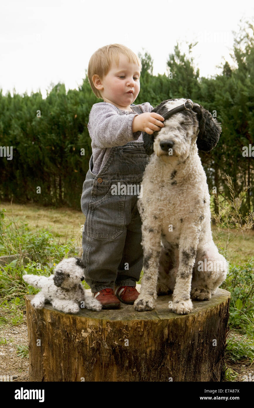 Babymädchen ein Portugiesischer Wasserhund Kragen anziehen Stockfoto