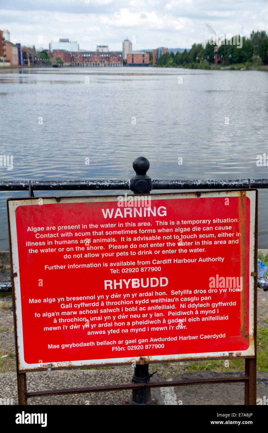 Warnzeichen für Blaualgen, Atlantic Wharf, Bucht von Cardiff, Cardiff, Südwales, UK. Stockfoto