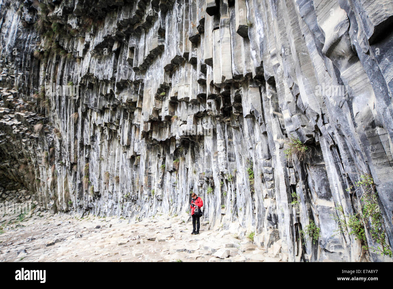 Basalt Säulen Felsformationen, ("Sinfonie der Steine"), Garni Schlucht, Armenien Stockfoto