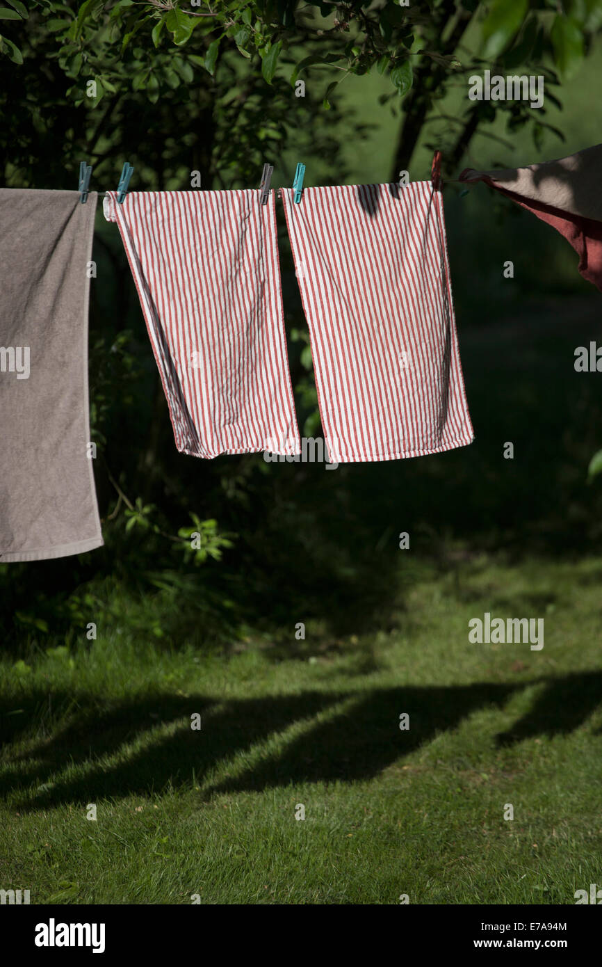 Handtücher aufhängen auf der Wäscheleine im Garten Stockfoto