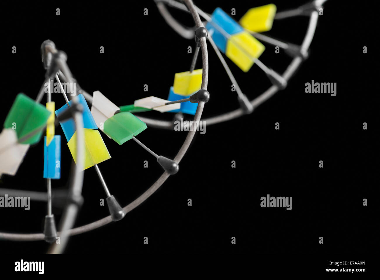 Nahaufnahme des DNA-Moleküls auf schwarzem Hintergrund Stockfoto