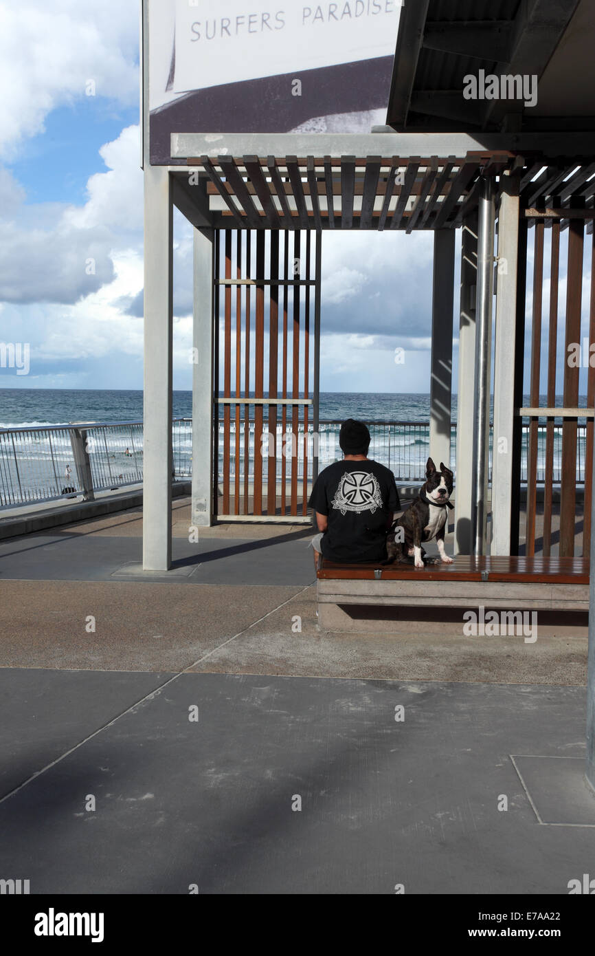 Mann mit seinem Hund sitzt auf dem Vorland von Surfers Paradise Beach in Australien Stockfoto