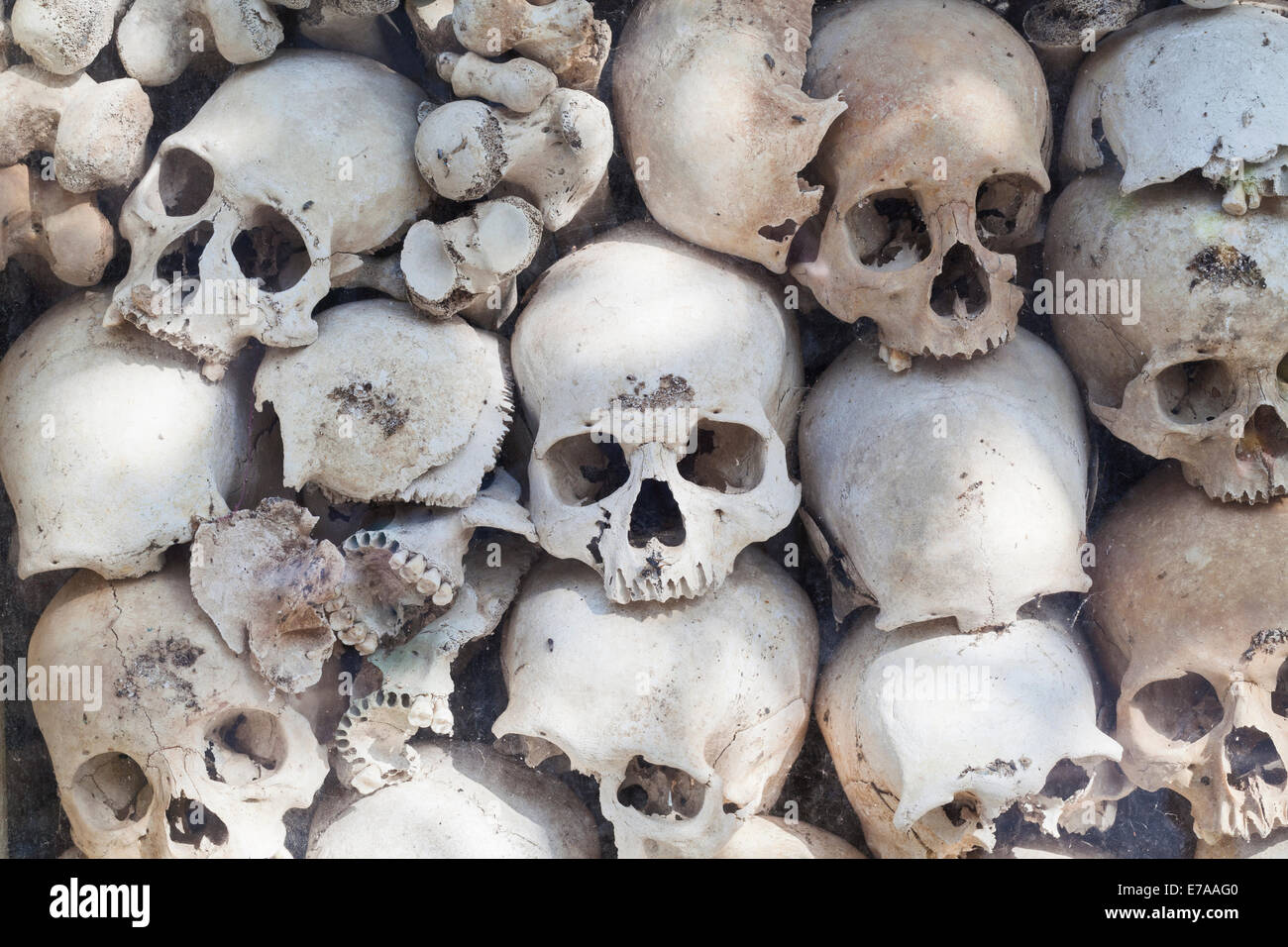 Schädel der Opfer der Khmer rouge Regime am Wat Thmei, Siem Reap, Kambodscha Stockfoto