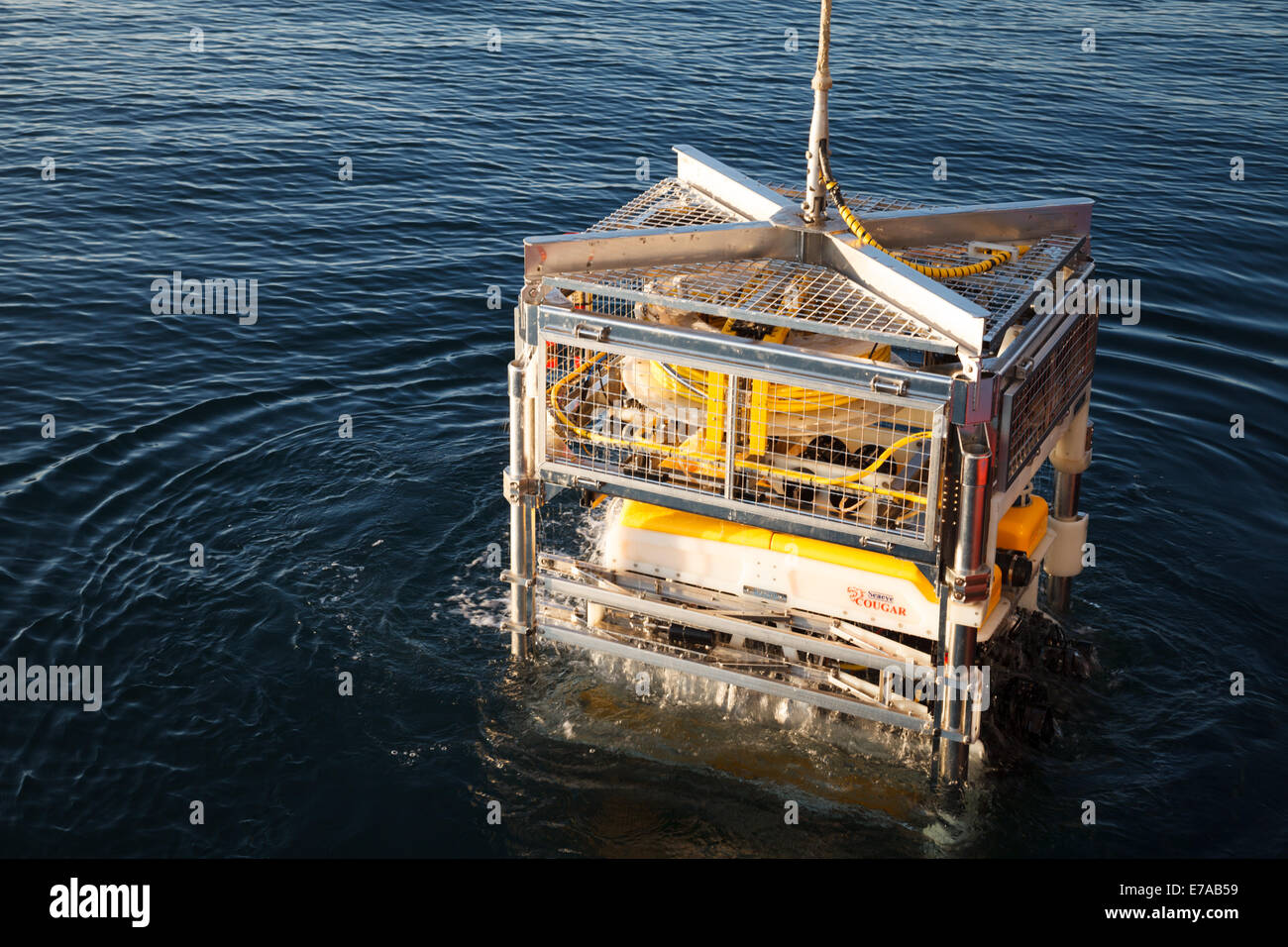 Ein aus der Ferne betrieben Fahrzeug (ROV) Offshore-Arbeiten Stockfoto