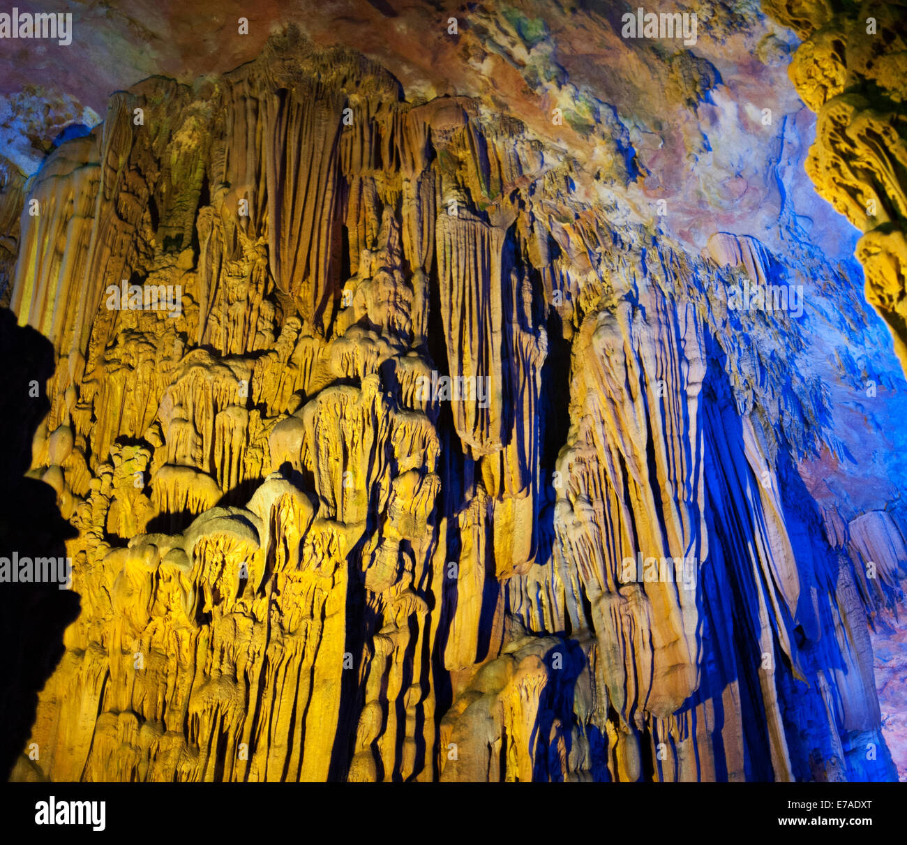 My Image 30