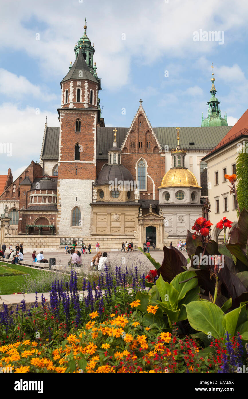 Touristen besuchen Wawel Schloss und Kathedrale auf dem Wawel Hill mit Blumen im Vordergrund, Krakau, Polen im September Stockfoto