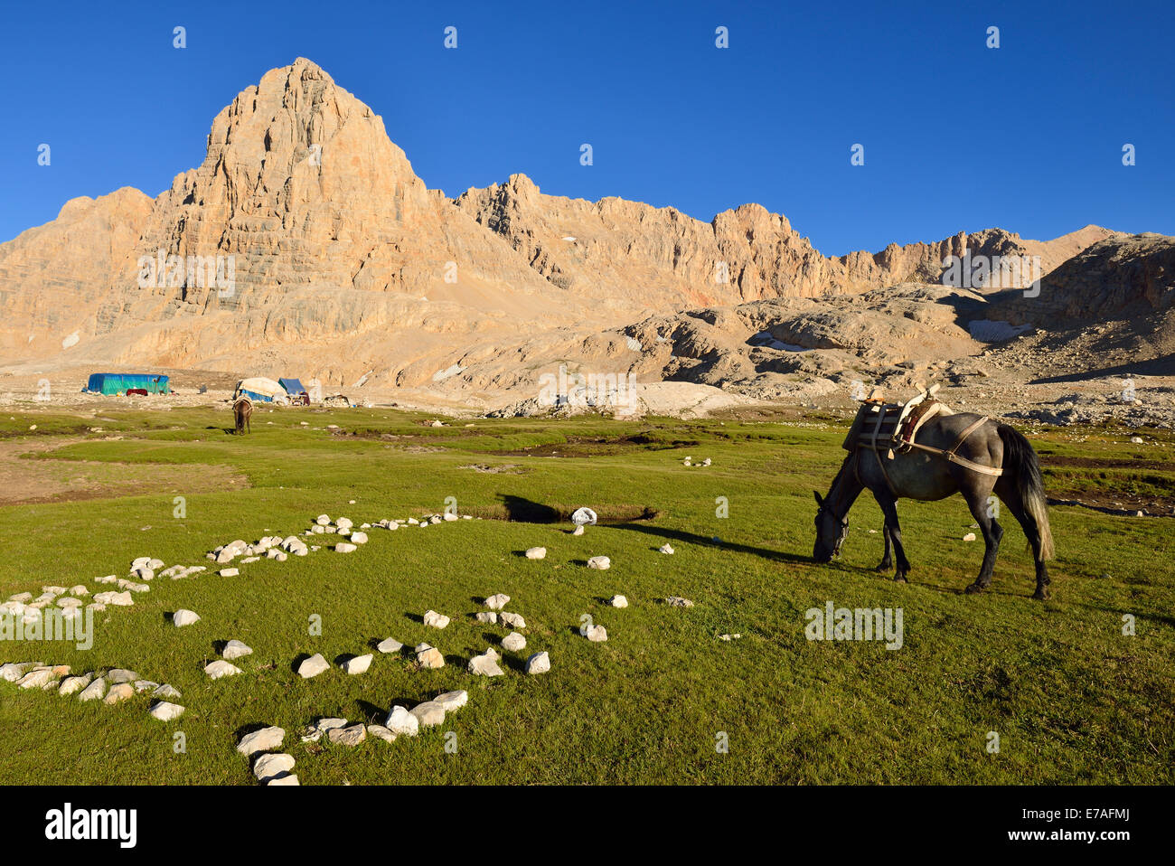 Packen Sie Pferd Weide in der Nähe ein Nomadencamp, Yedigöller Plateau, High oder Anti-Taurus-Gebirge, Aladağlar National Park, Türkei Stockfoto