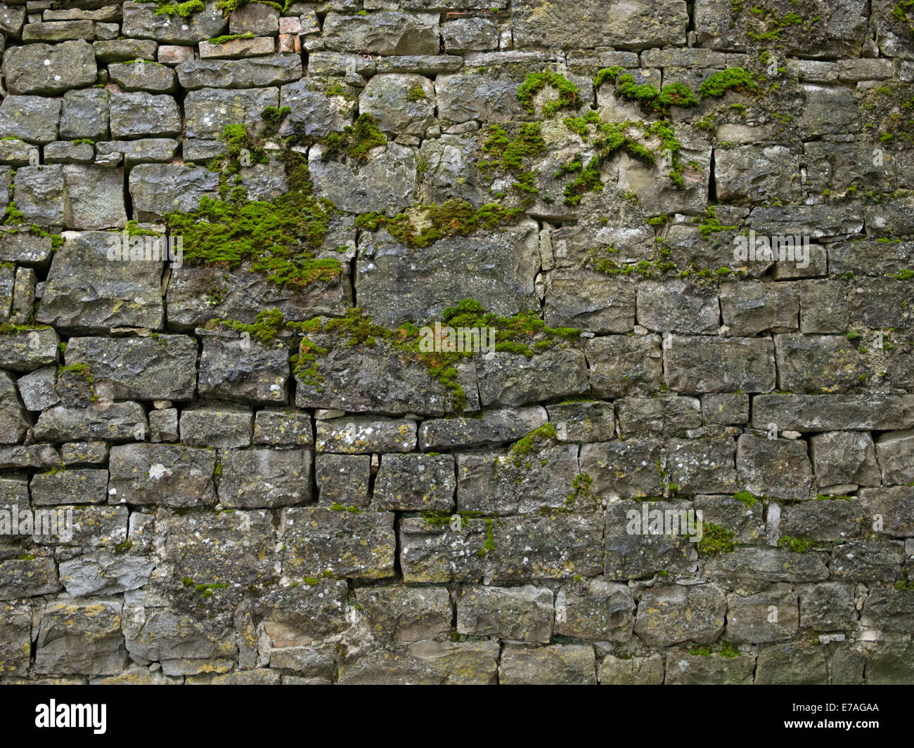 Detail der traditionell gebaut Steinmauer aus Istrien, Kroatien. Stockfoto