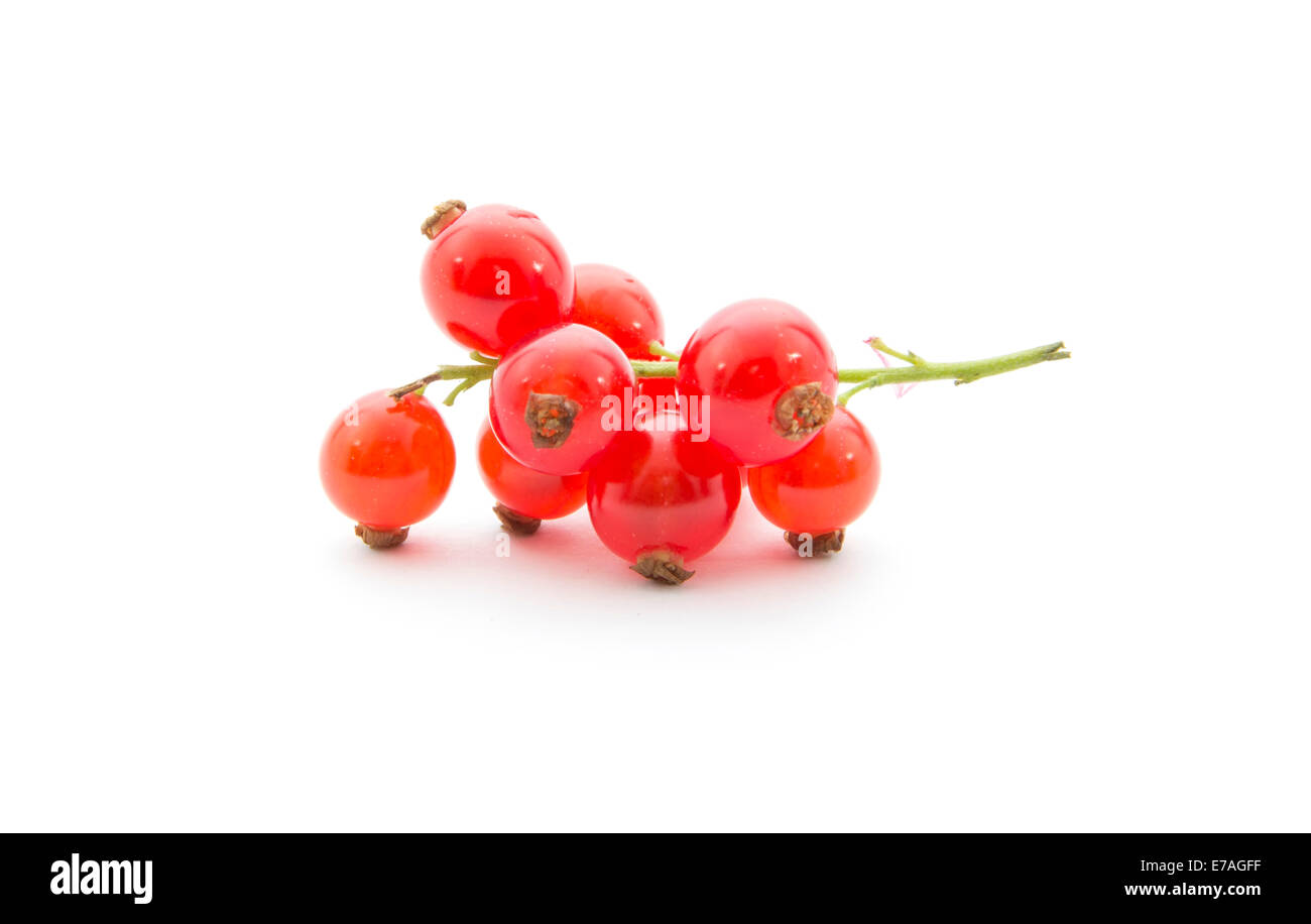 frische Bio rote Johannisbeeren isoliert auf weißem Hintergrund Stockfoto
