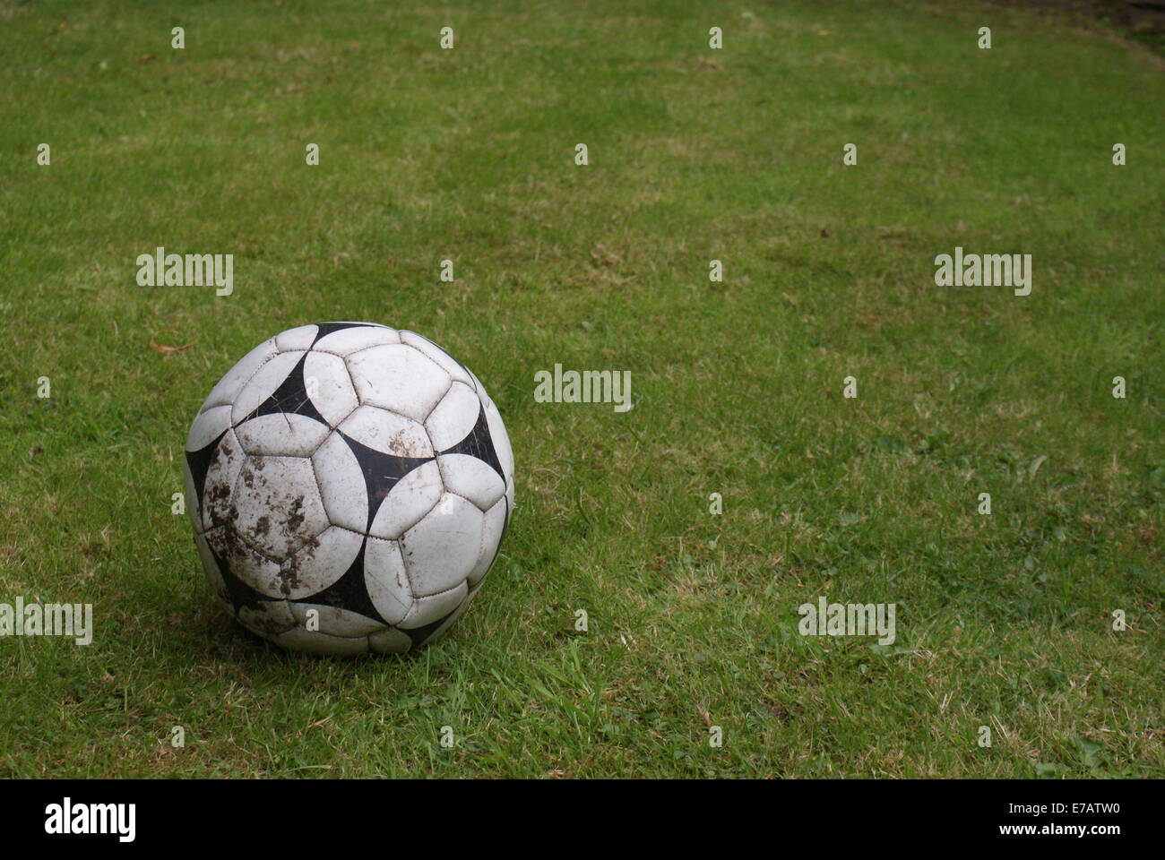 Fußball auf dem Rasen Stockfoto