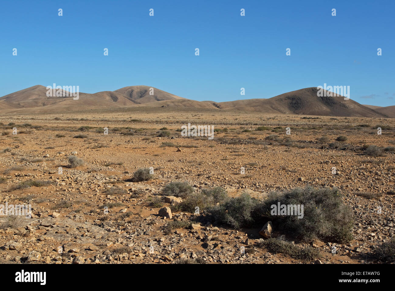 Die Landschaft zwischen El Cotillo und Tindaya im Norden von Fuerteventura eine Website für Houbara Trappen (Chlamydotis Undulata ssp Stockfoto