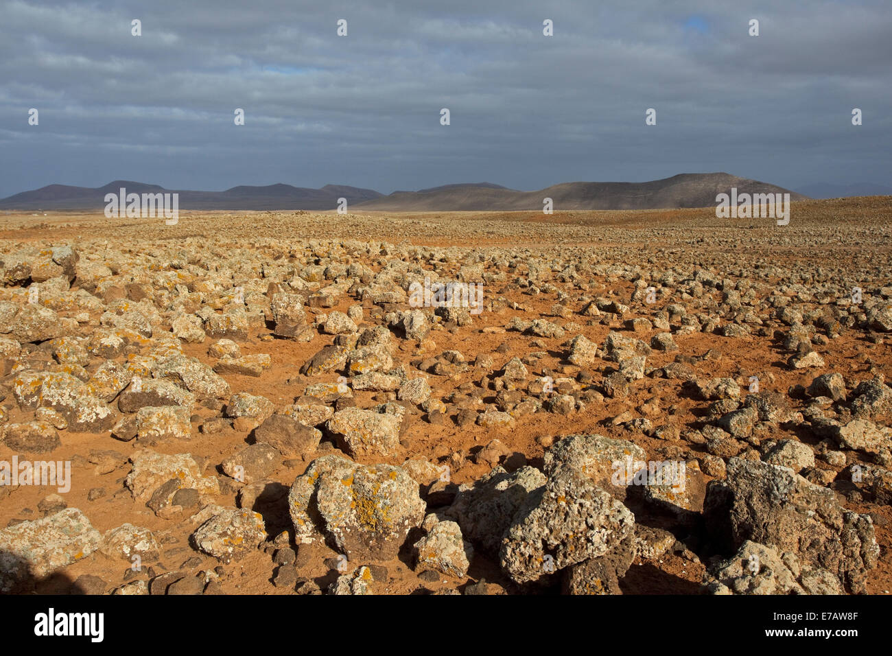 Landschaft mit Lavafelsen in der Nähe der Stadt Villaverde im nördlichen Fuerteventura, Stockfoto