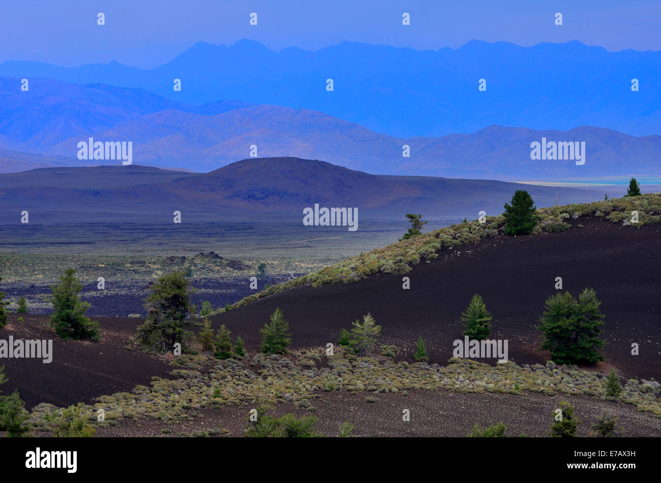 Blue Mountains in Ferne mit Wüste im Vordergrund Stockfoto