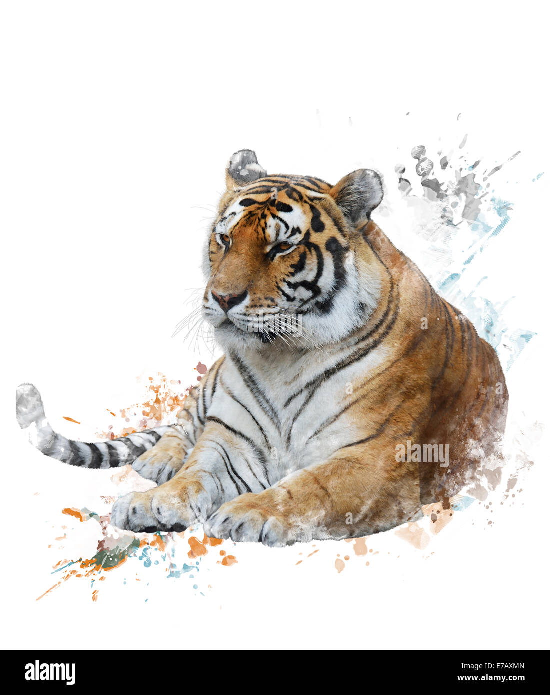 Digitales Aquarell des Tigers Stockfoto