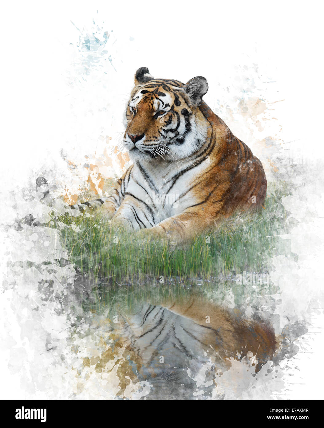 Digitales Aquarell des Tigers Stockfoto