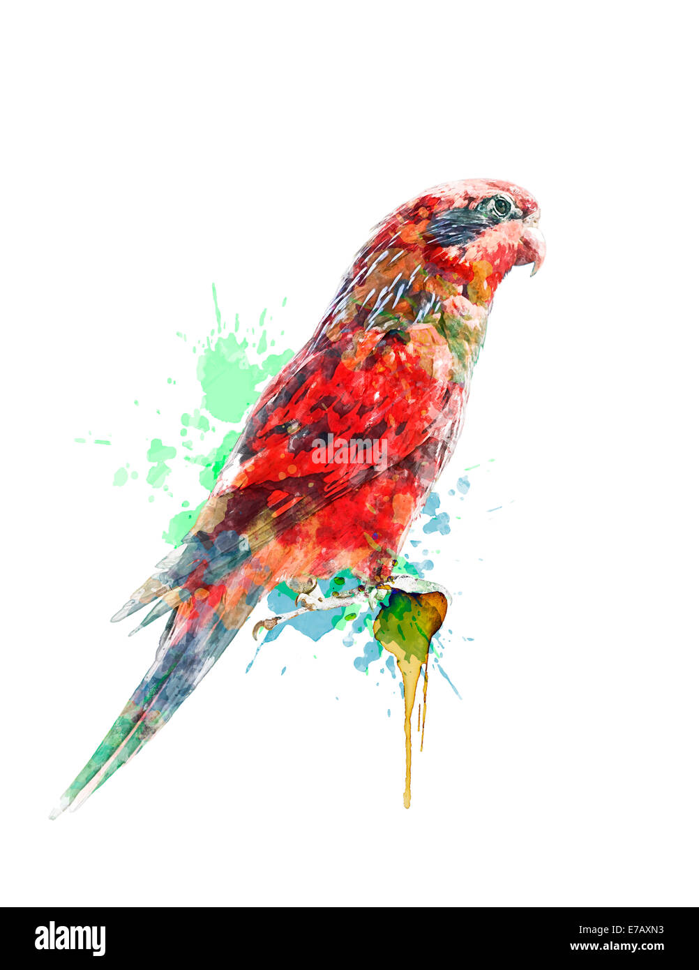 Digitales Aquarell der bunte Papagei Stockfoto