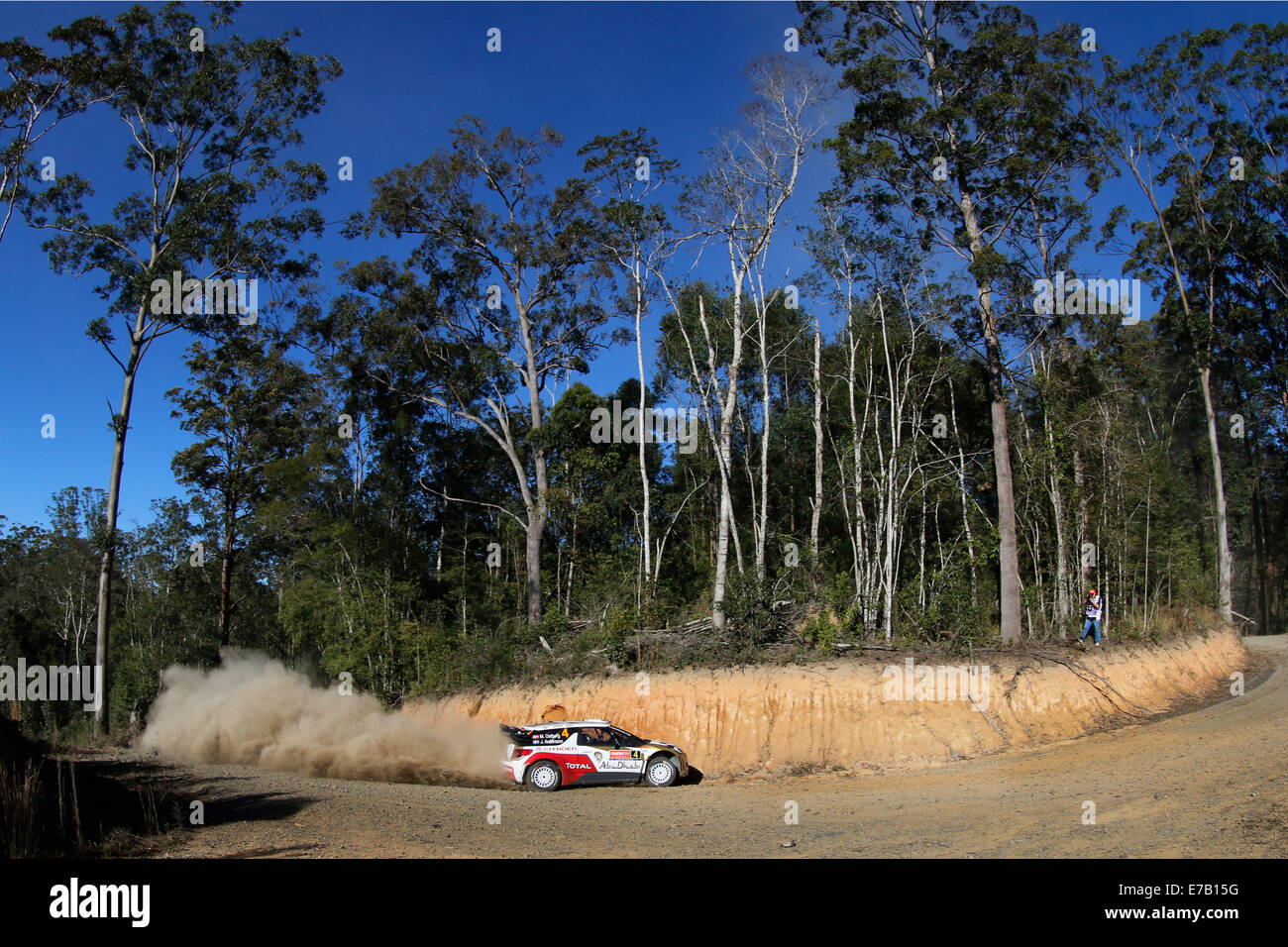 Hydes Creek, New-South.Wales, Australien. 11. September, 2014. WRC-Shakedown Abschnitt der WRC Rallye Australien. Mads Ostebrg (NOR) und Jonas Andersson (SWE) im Citroen DS3 WRC Kredit: Action Plus Sport/Alamy Live News Stockfoto