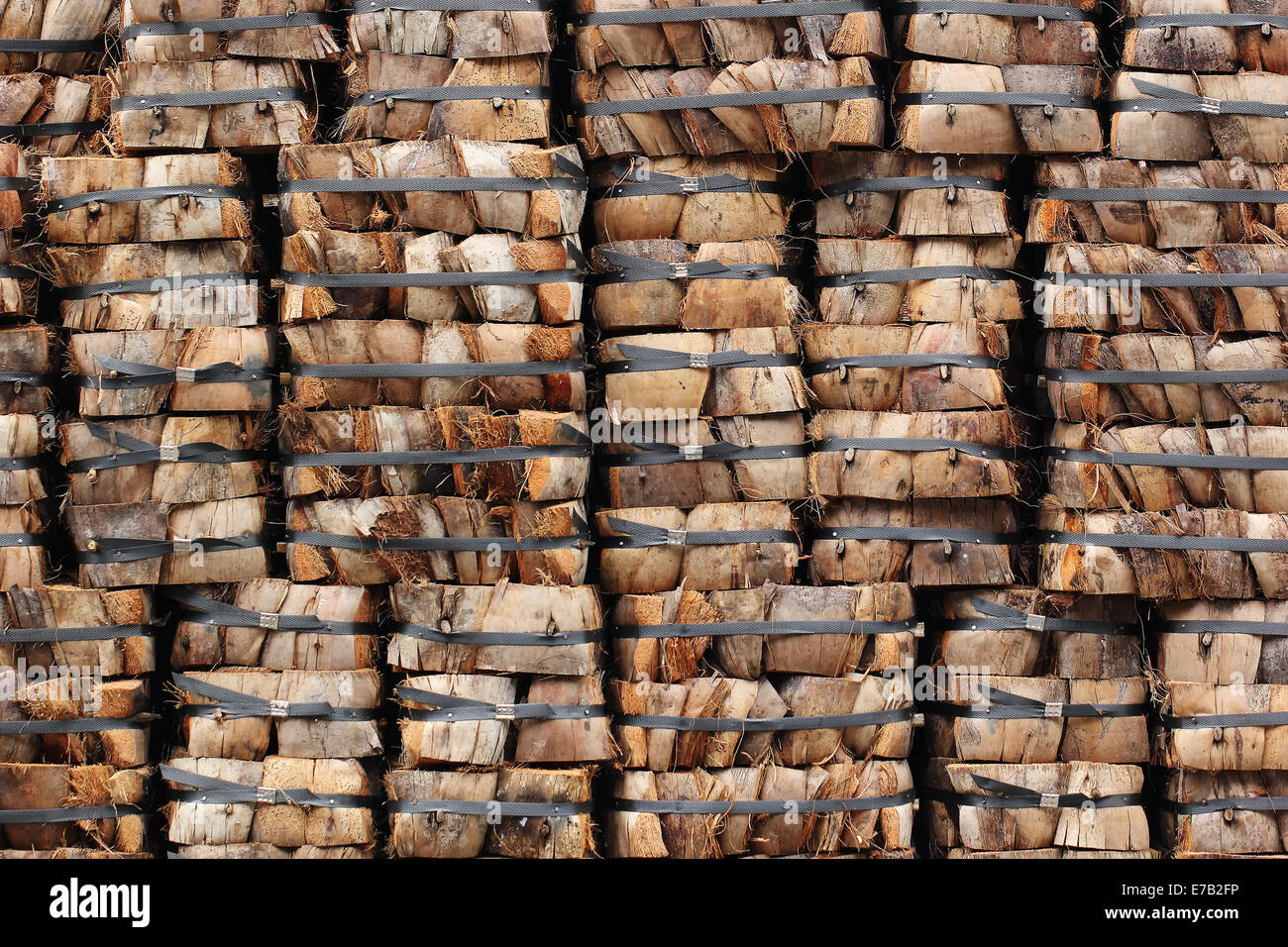Kokos Kokos Stack als Hintergrund oder Textur Stockfoto