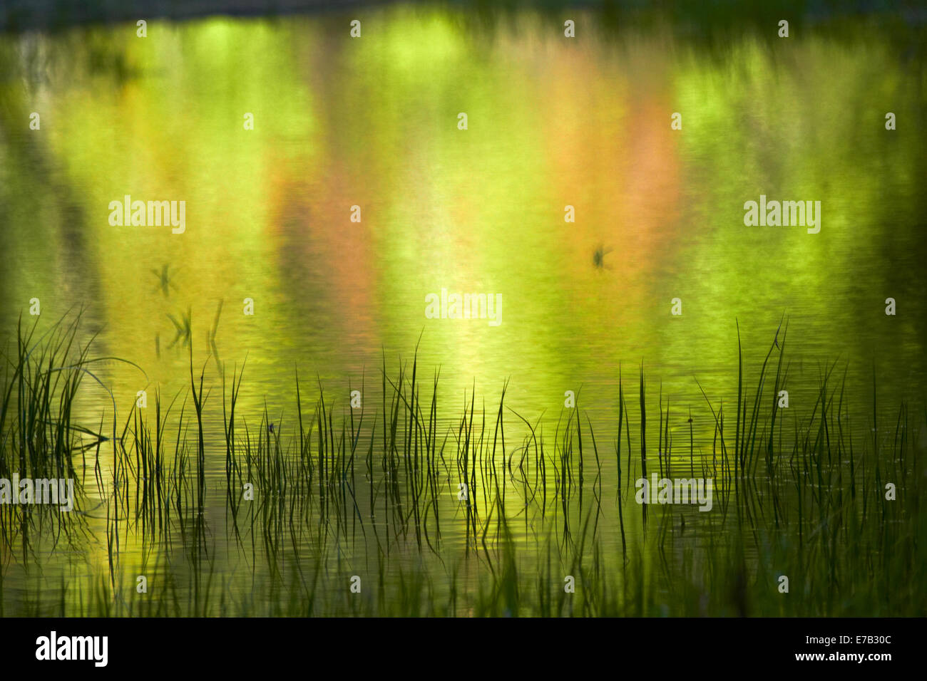 Reflexionen im Mirror Lake, Yosemite-Nationalpark, Kalifornien, USA Stockfoto