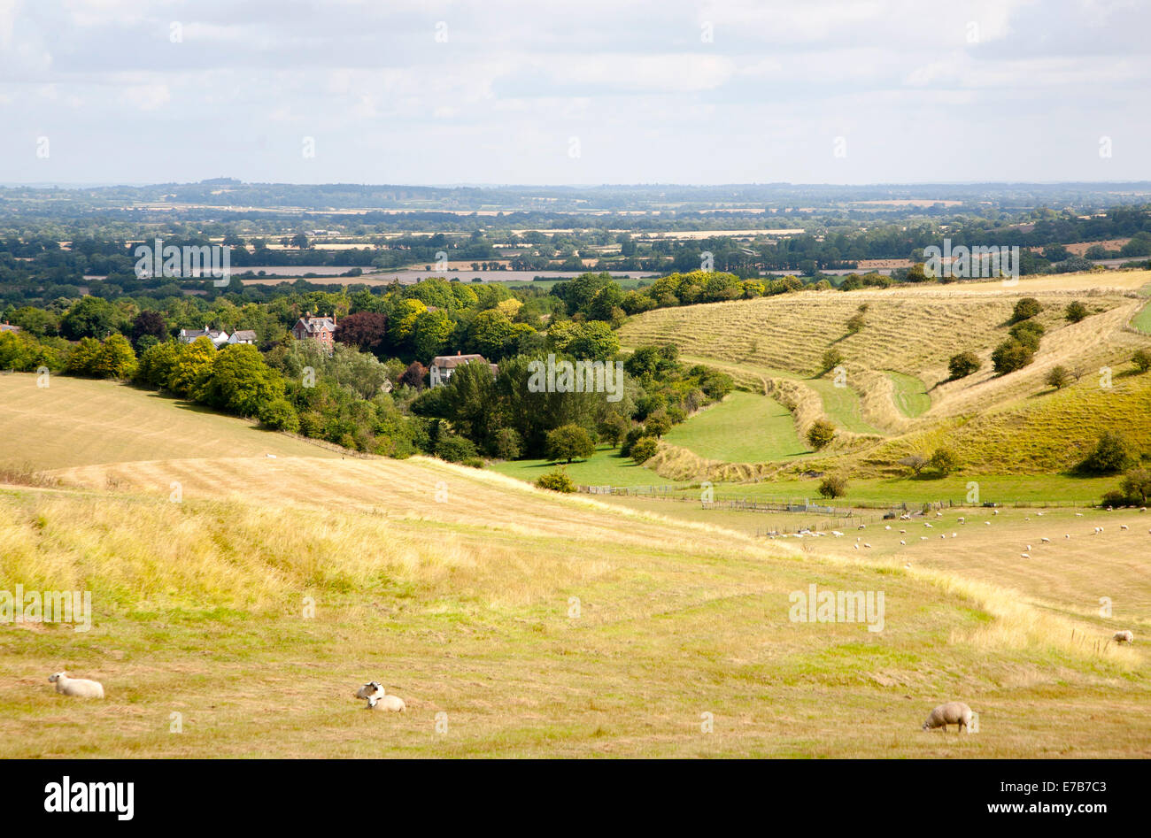 Alten terrassierten Felder bekannt als Streifen Lynchets geschnitten Abhanges Kreide Böschung am Bishopstone, Wiltshire, England Stockfoto