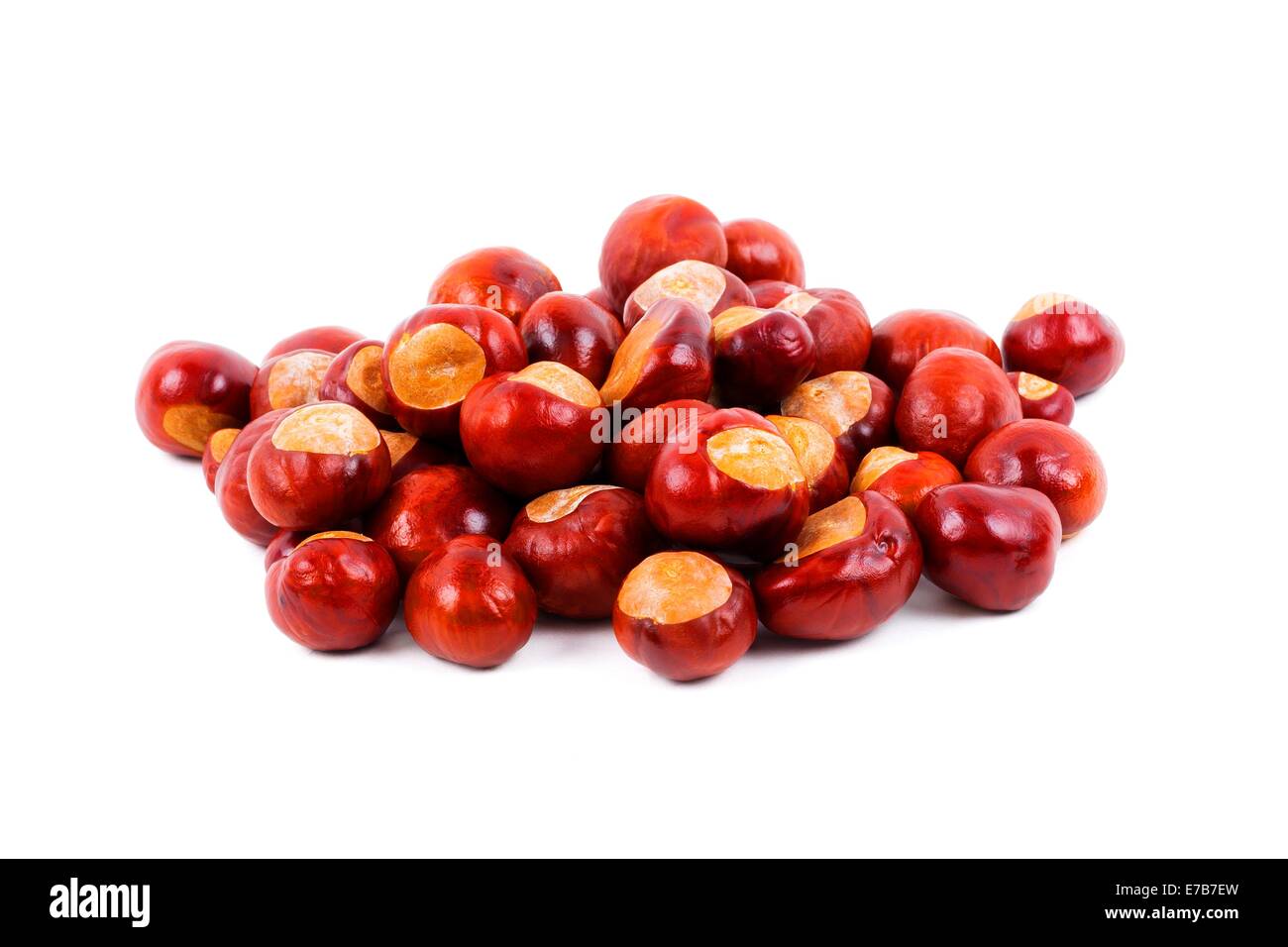 Haufen von Kastanien auf weißem Hintergrund Stockfoto