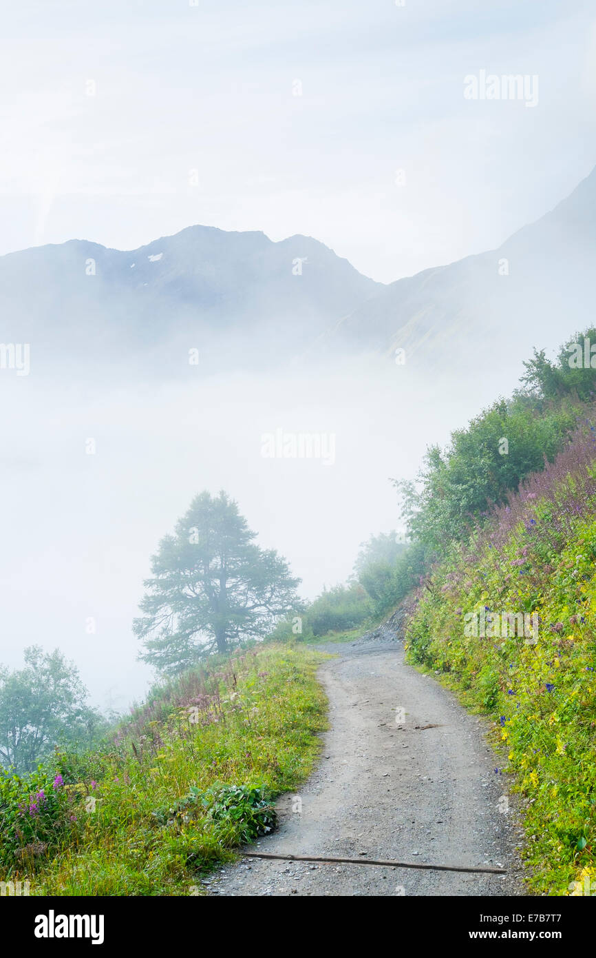 Atmosphärische nebligen Straße mit schwacher Baumform und Bergkette im Hintergrund. Stockfoto