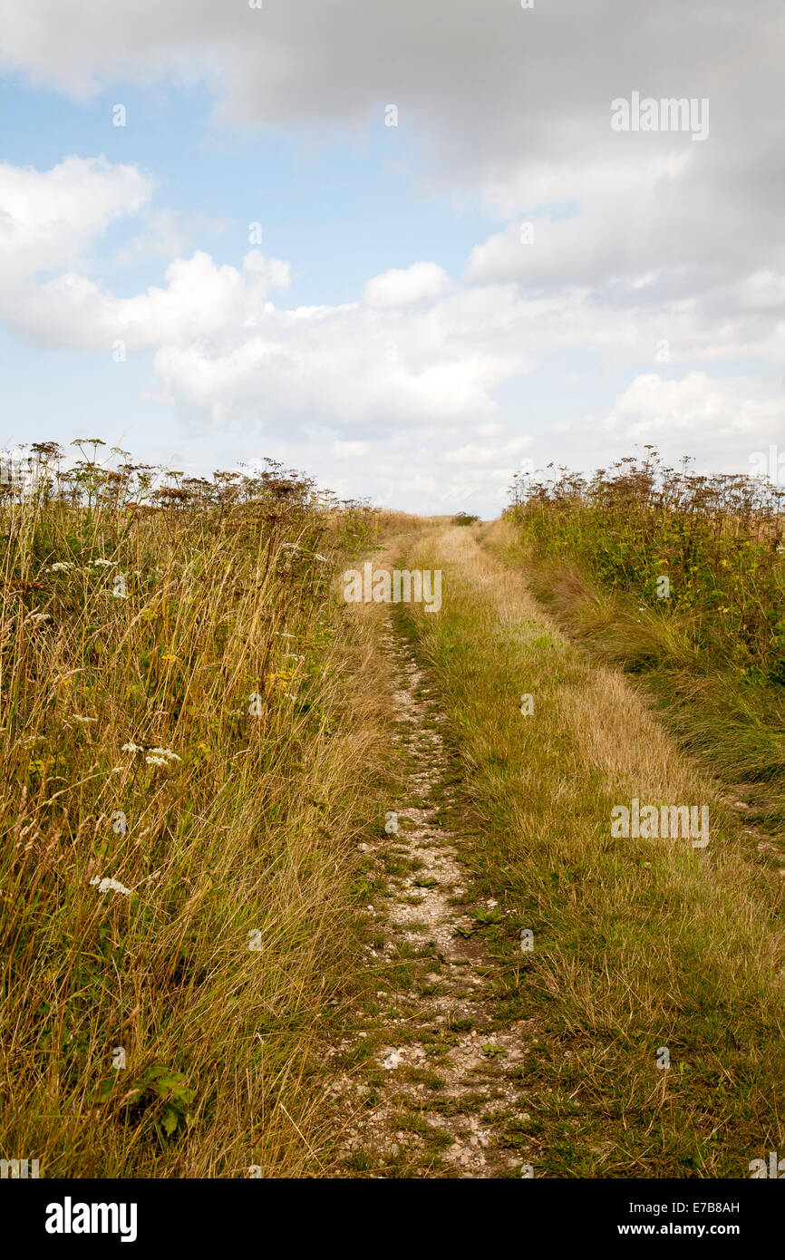 Harter Teil der alten Ridgeway Weg Kreuzung Kreide Downland in der Nähe von Liddington Castle, Wiltshire, England Stockfoto