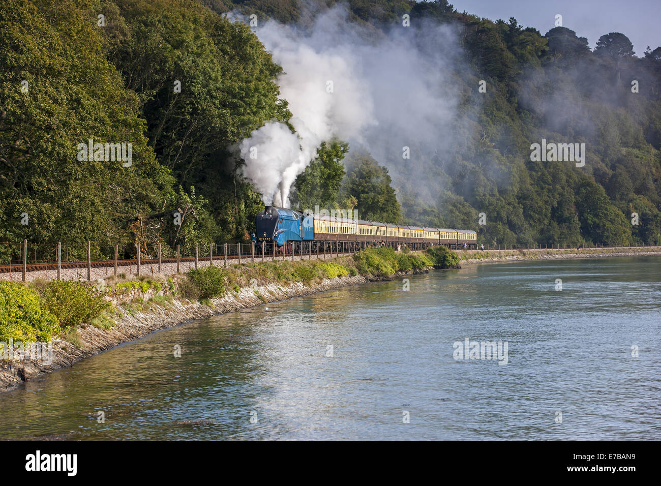 Die Torbay dämpfen aus Kingswear entlang dem Fluss Dart Express Stockfoto