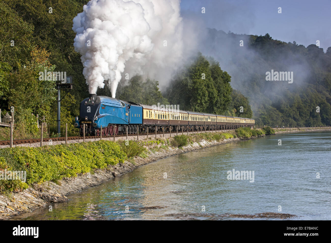 Die Torbay dämpfen aus Kingswear entlang dem Fluss Dart Express Stockfoto