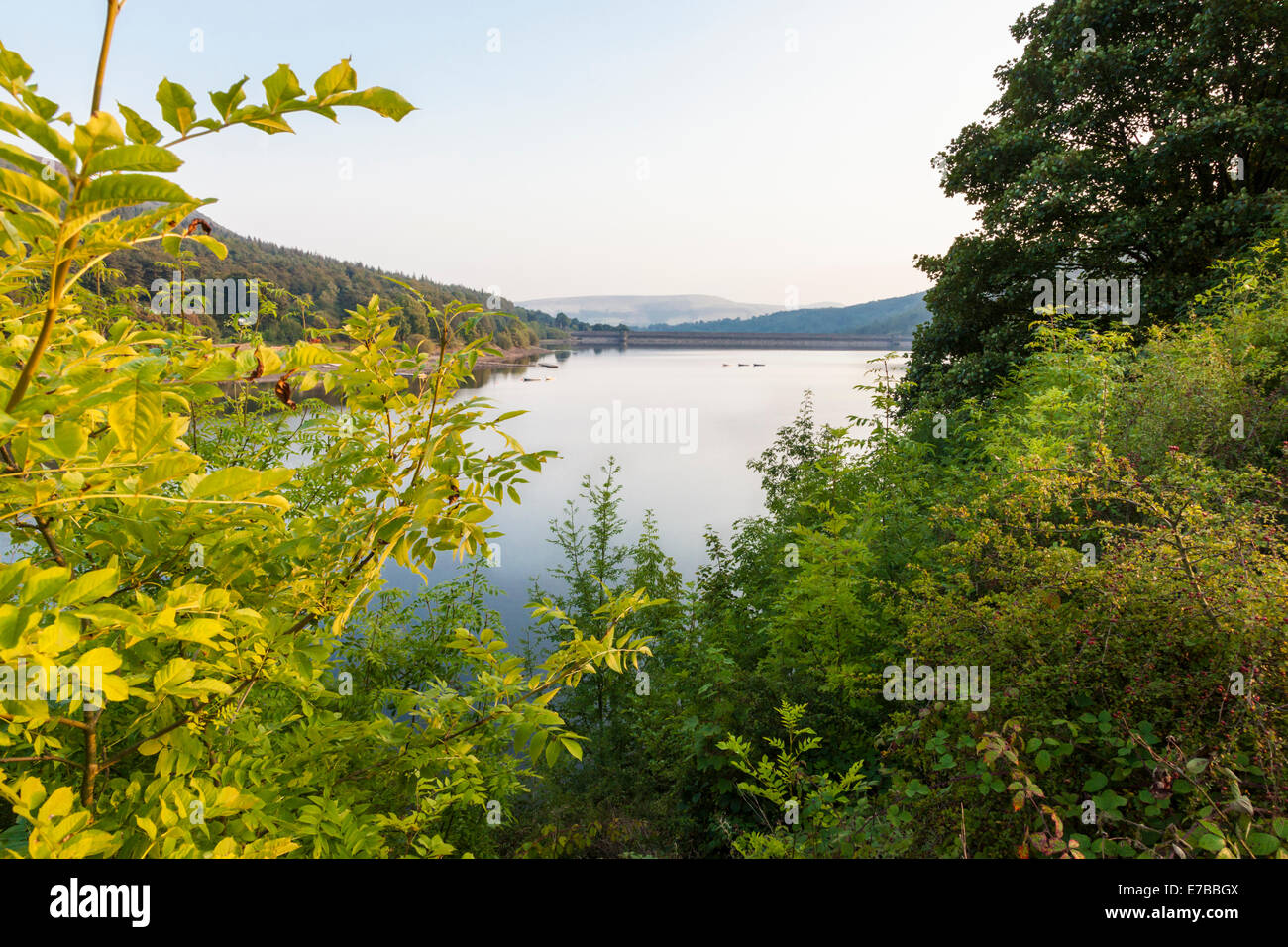 Blick durch Bäume südlich über Ladybower Vorratsbehälter in Richtung Staudamm, Derbyshire, England, UK Stockfoto