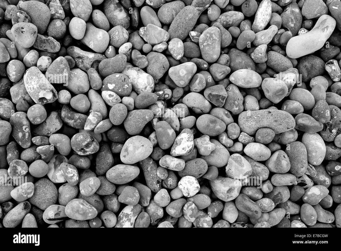 Kieselsteine am Strand von Dungeness in Schwarzweiß konvertiert Stockfoto