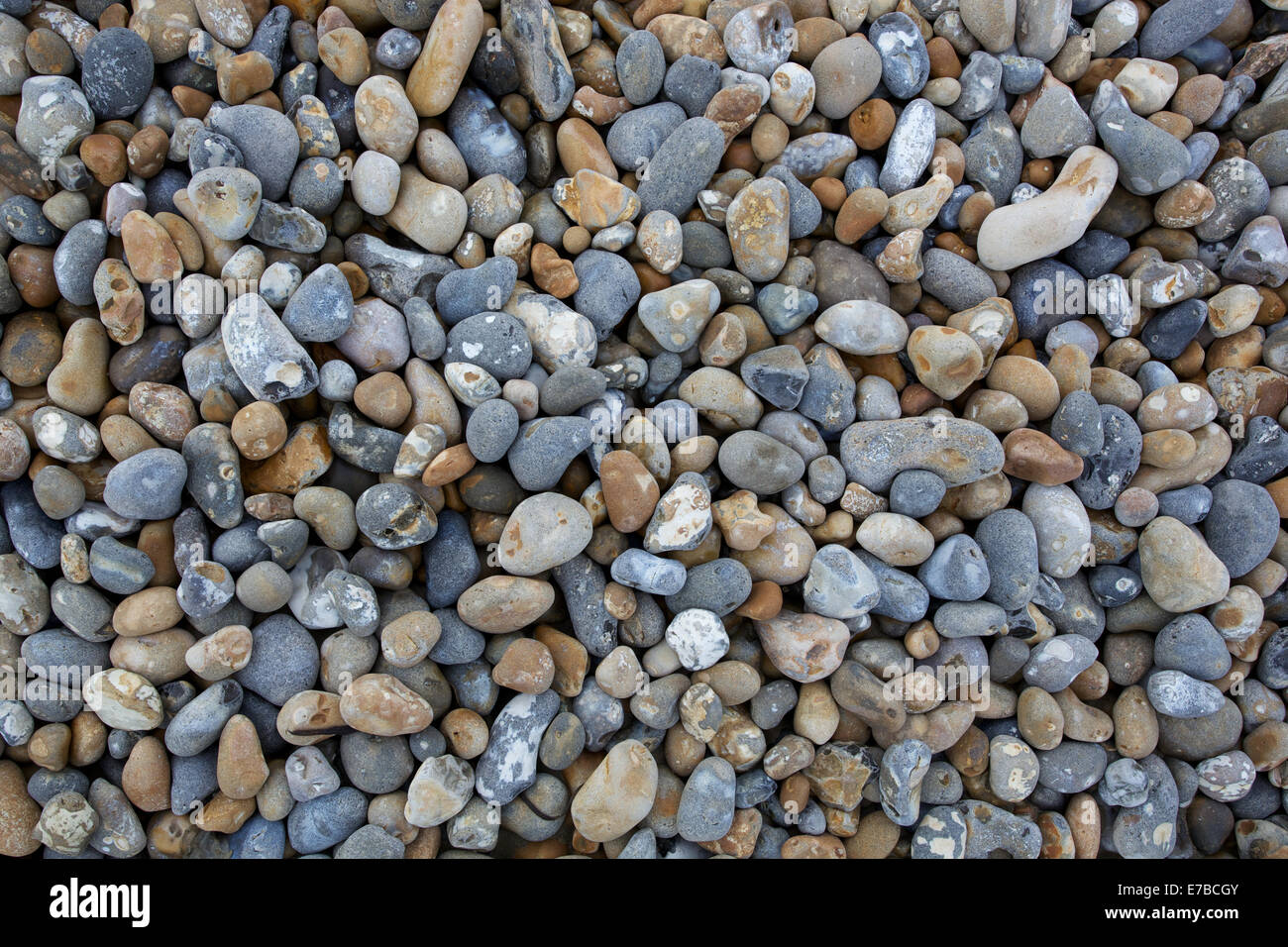 Kieselsteine am Strand von Dungeness, Kent, UK Stockfoto