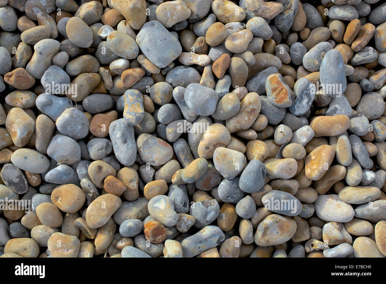 Kieselsteine am Strand von Dungeness, Kent, UK Stockfoto