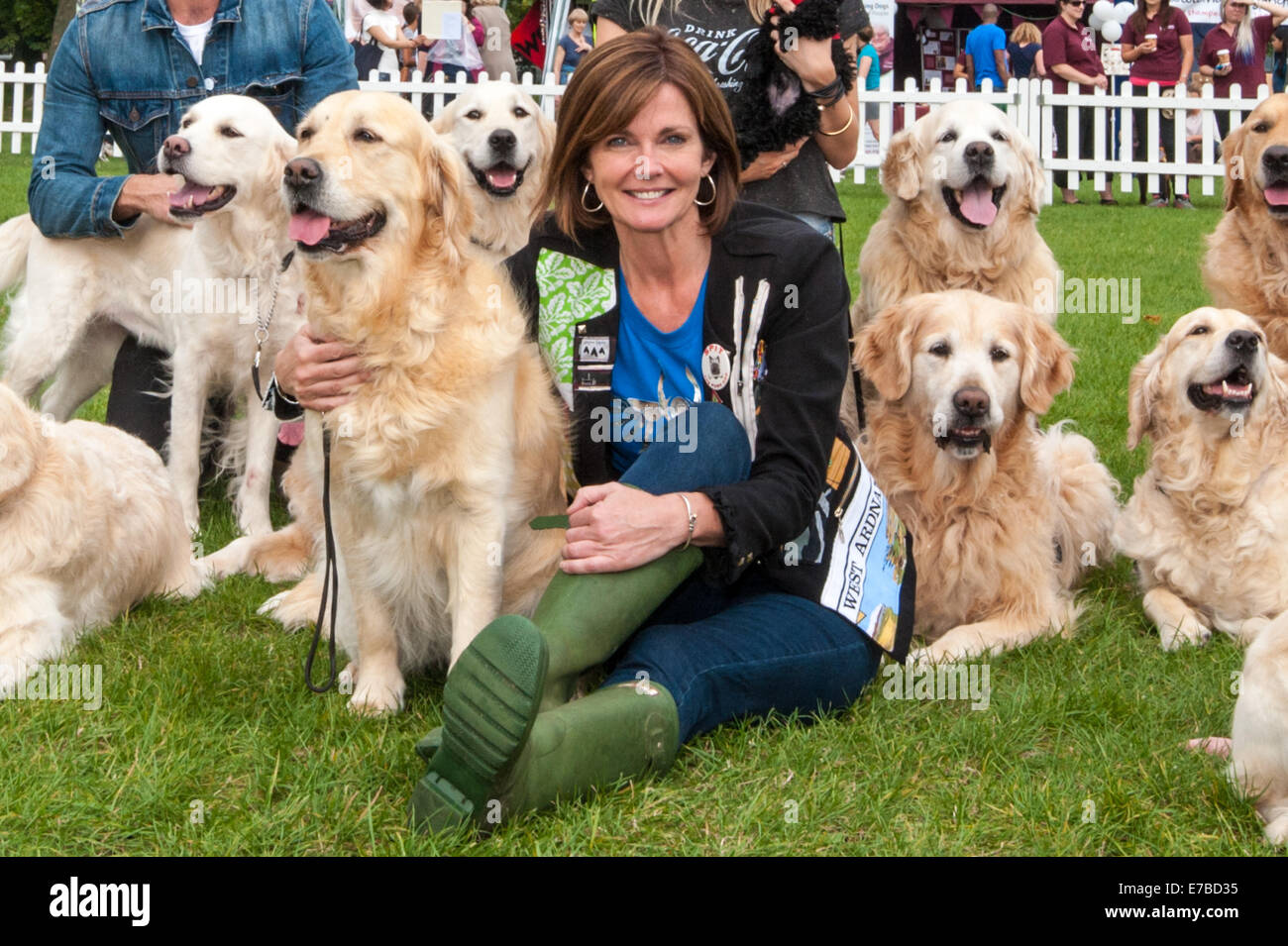 Annabel Giles mit dem südlichen Golden Retriever Display Team Sterne. Welpen Hilfe Celebrity Dog Show am Primrose Hill beurteilt Stockfoto