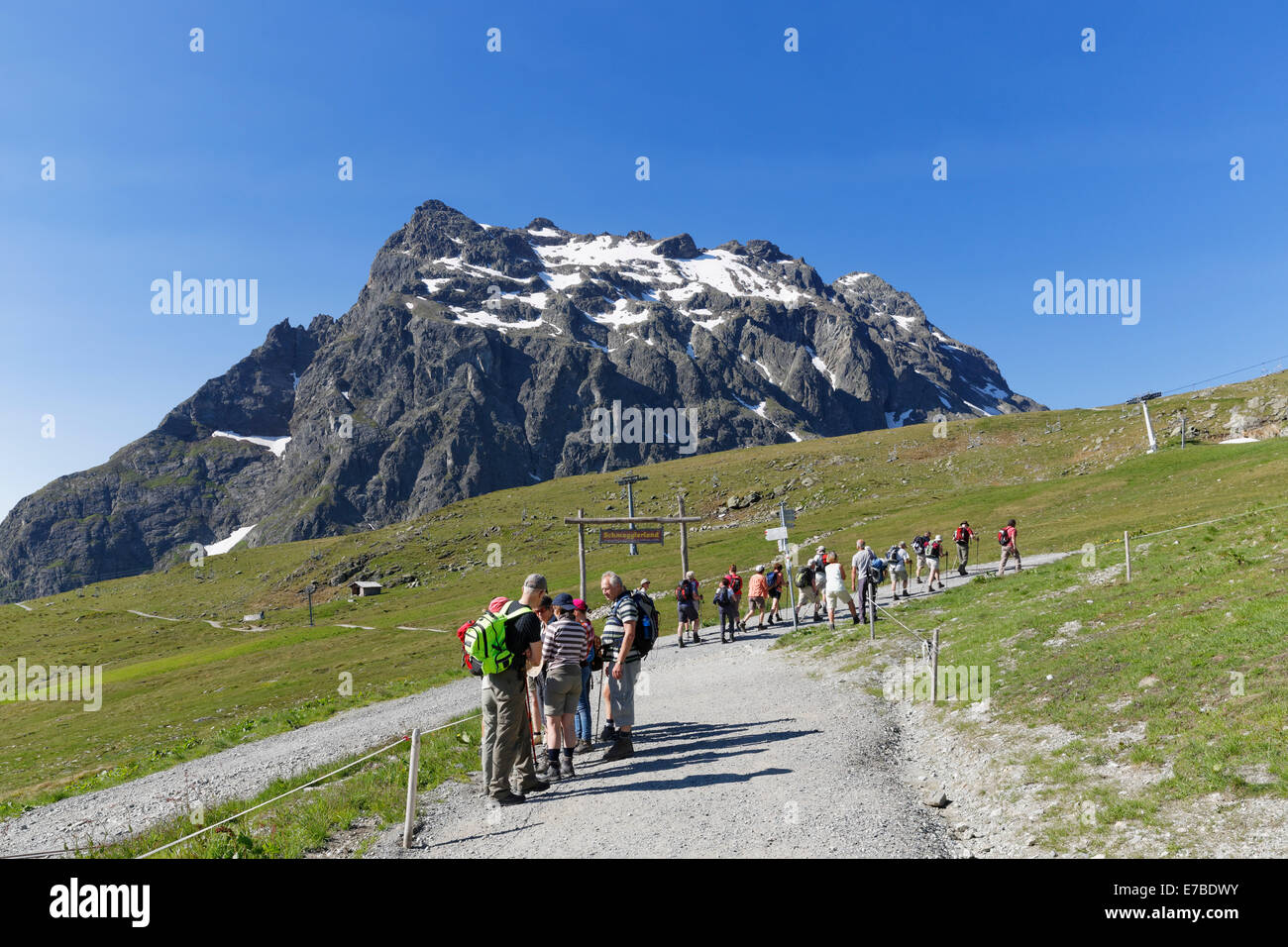 Wanderer am Mt Schafberg, Mt Madrisa auf der Rückseite, Montafon, Rätikon Gebirge, Vorarlberg, Österreich Stockfoto