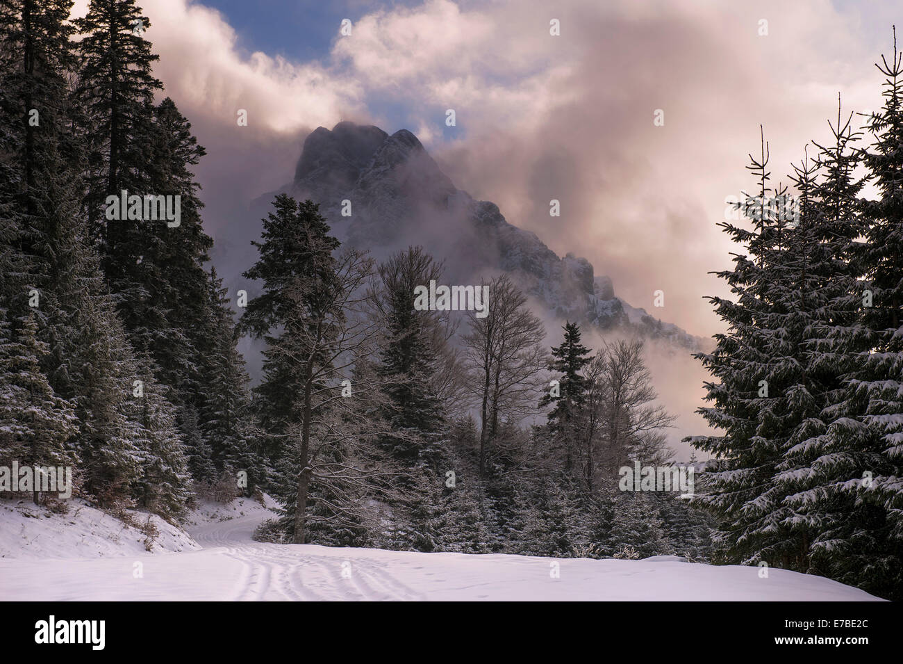 Gipfel des Mt Aggesntein verschlungen in Wolken mit einem Winterwald, Pfronten, Ostallgäu, Allgäu, Bayern, Deutschland Stockfoto