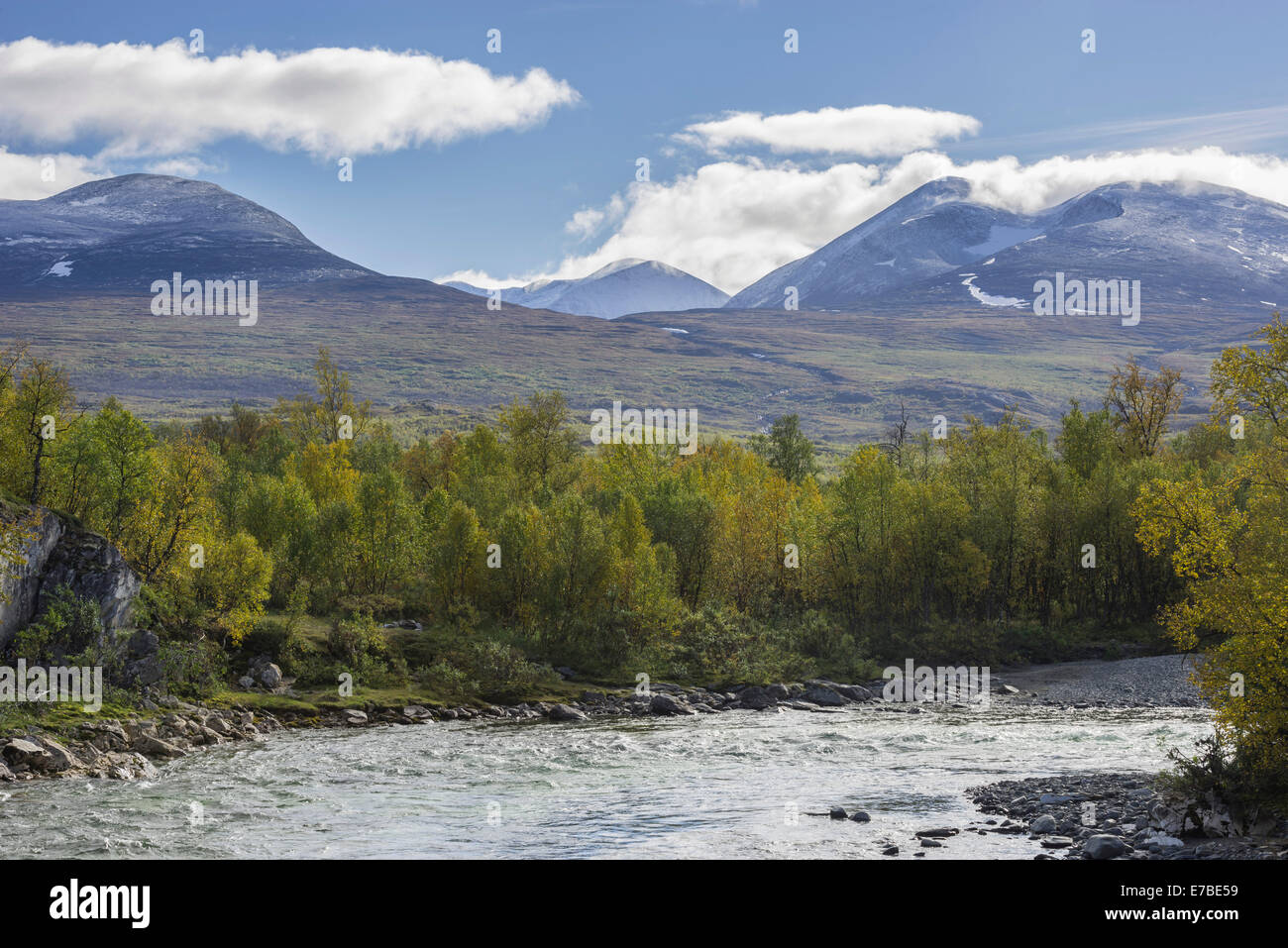 Im Herbst farbige Birken am Fluss Abiskojåkka Lapporten Trog Tal auf der Rückseite, Abisko Nationalpark Stockfoto