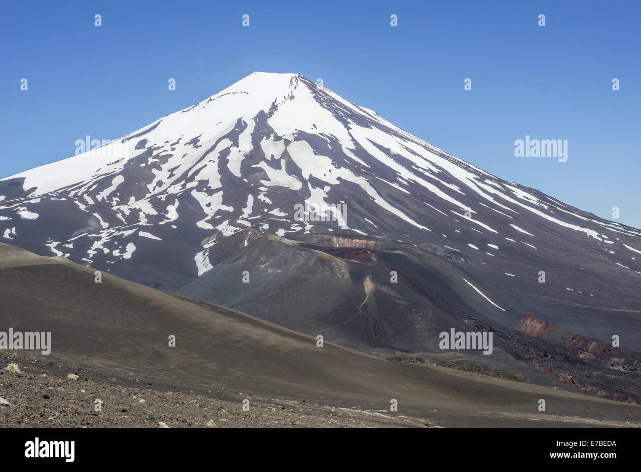 Vulkan Lonquimay, Lonquimay, Región de la Araucanía, Chile Stockfoto