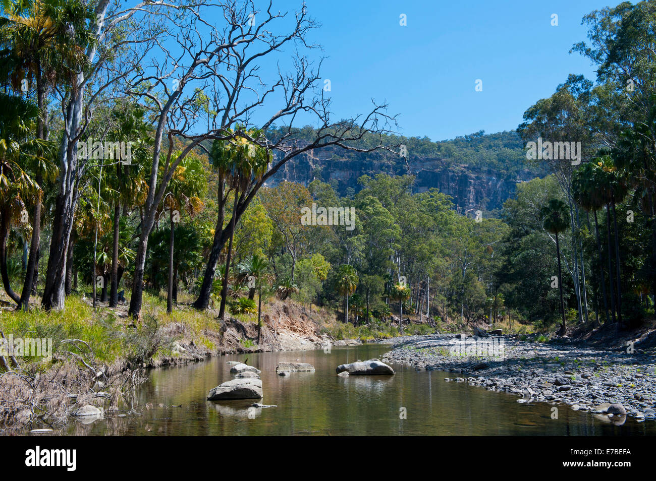 Fluss fließt durch den Carnarvon Nationalpark, Queensland, Australien Stockfoto