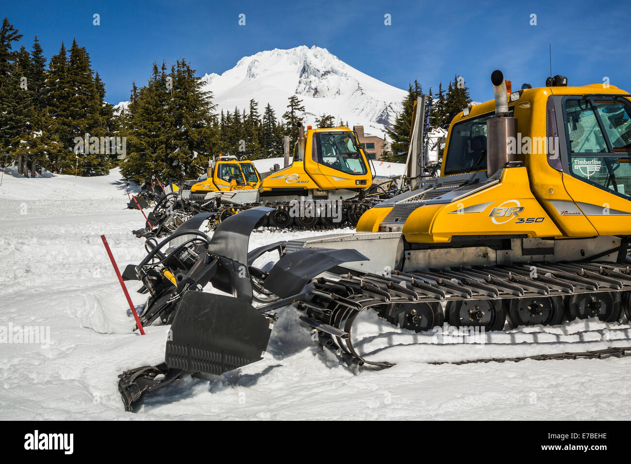 Skipiste, Pflege der Ausrüstung in den Mt. Hood Meadows Ski-Anlagen am Fuße des Mt. Hood, Oregon, USA. Stockfoto