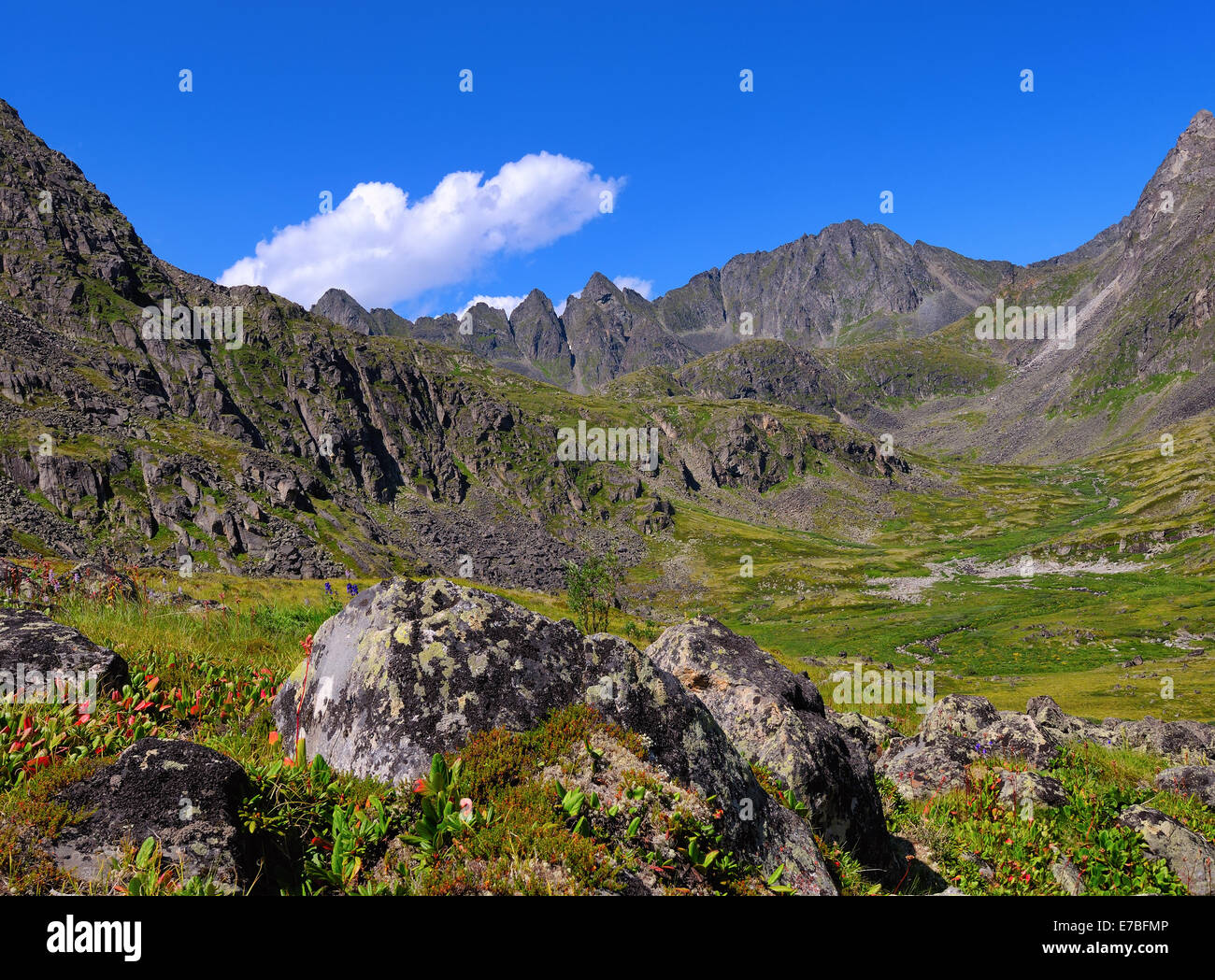 Sibirische Bergtundra. Sajan-Gebirge. Republik Burjatien Stockfoto
